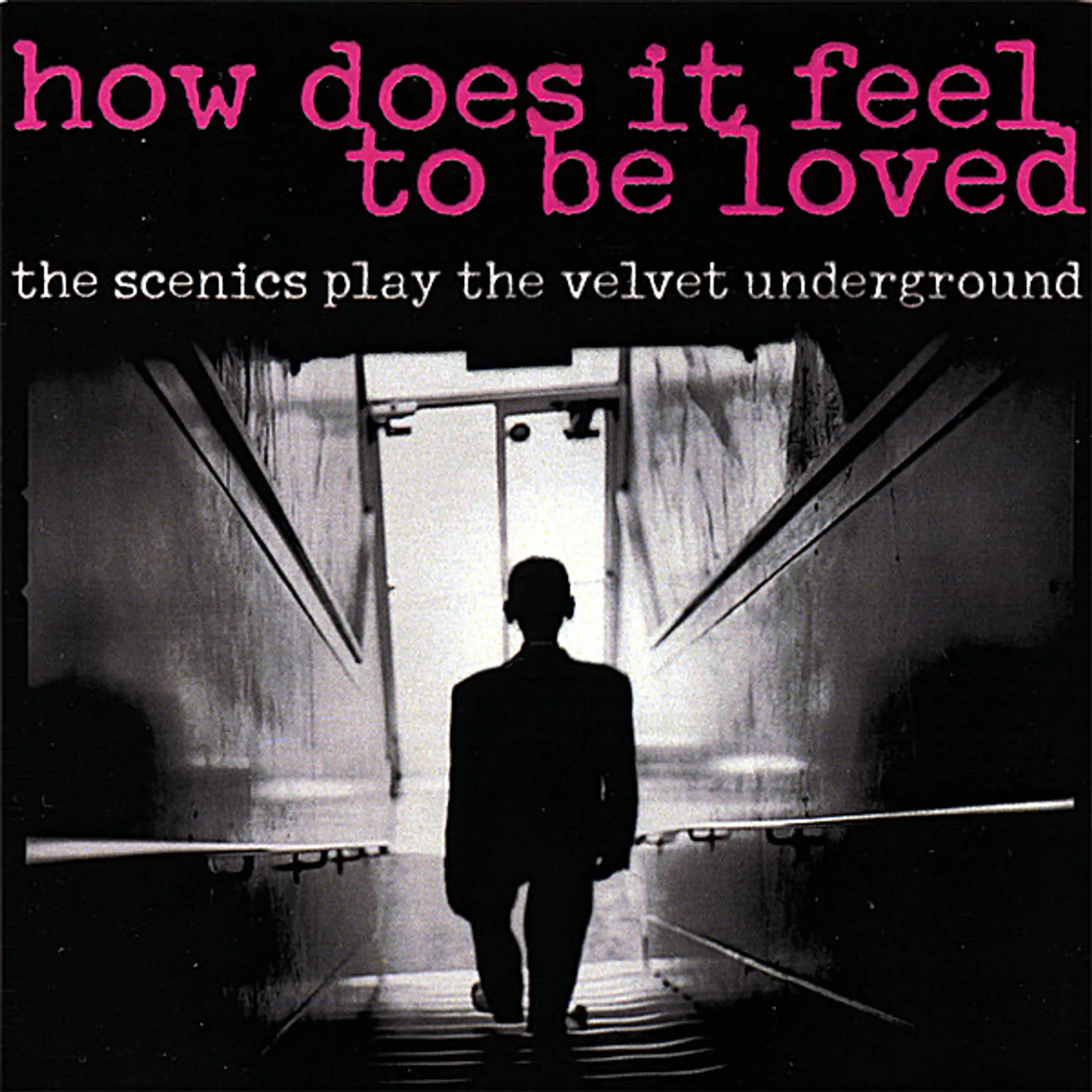 HOW DOES IT FEEL TO BE LOVED: THE SCENICS PLAY THE CD