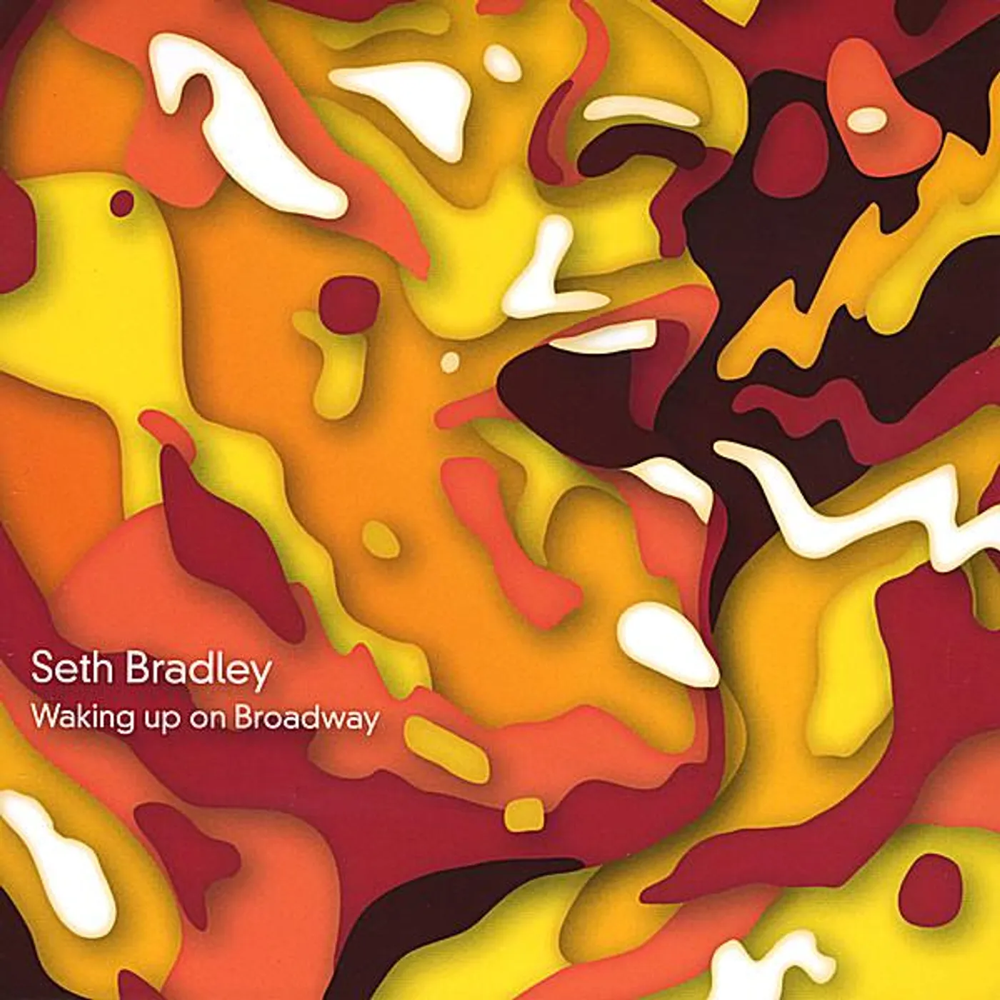 Seth Bradley WAKING UP ON BROADWAY CD