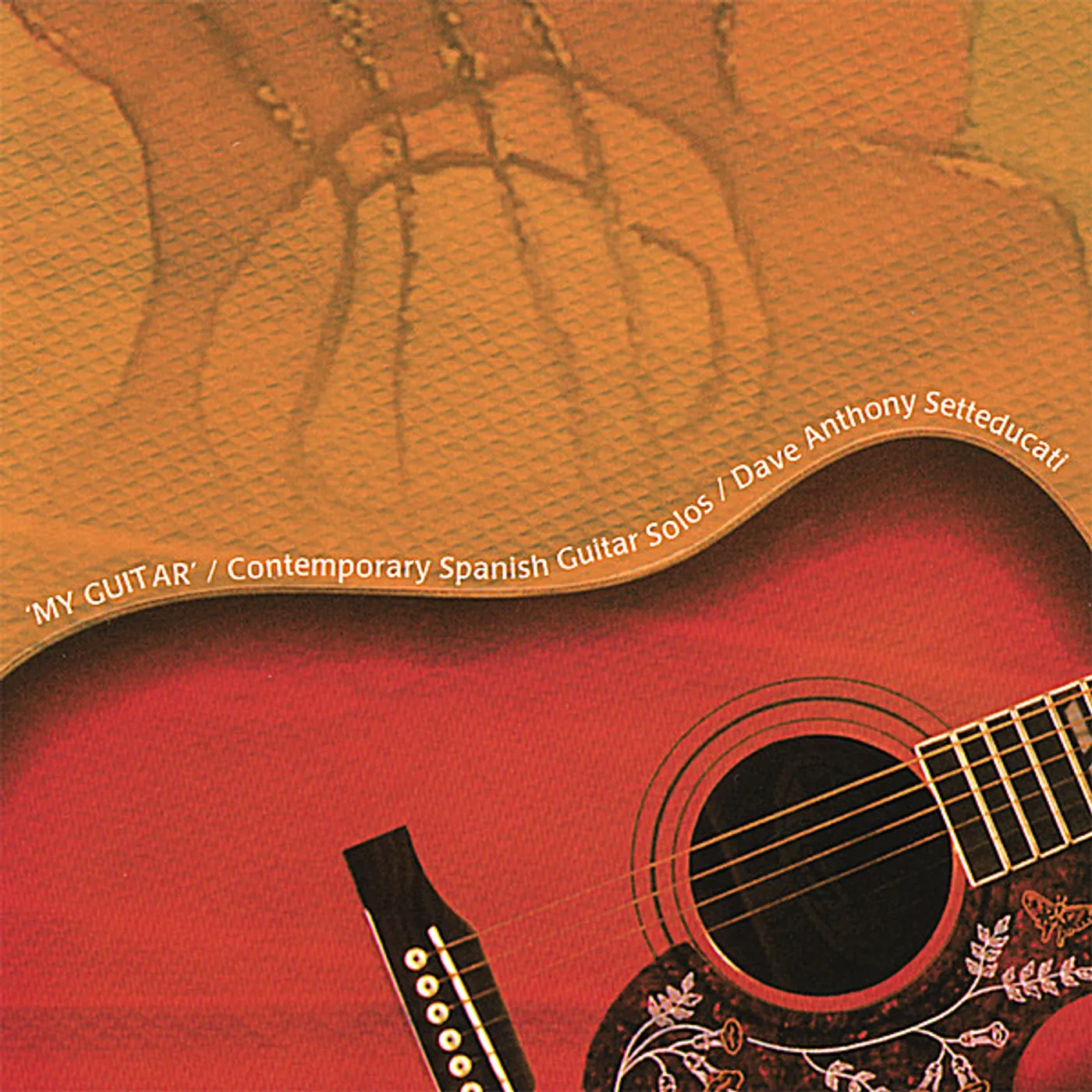 Dave Anthony Setteducati MY GUITAR CD