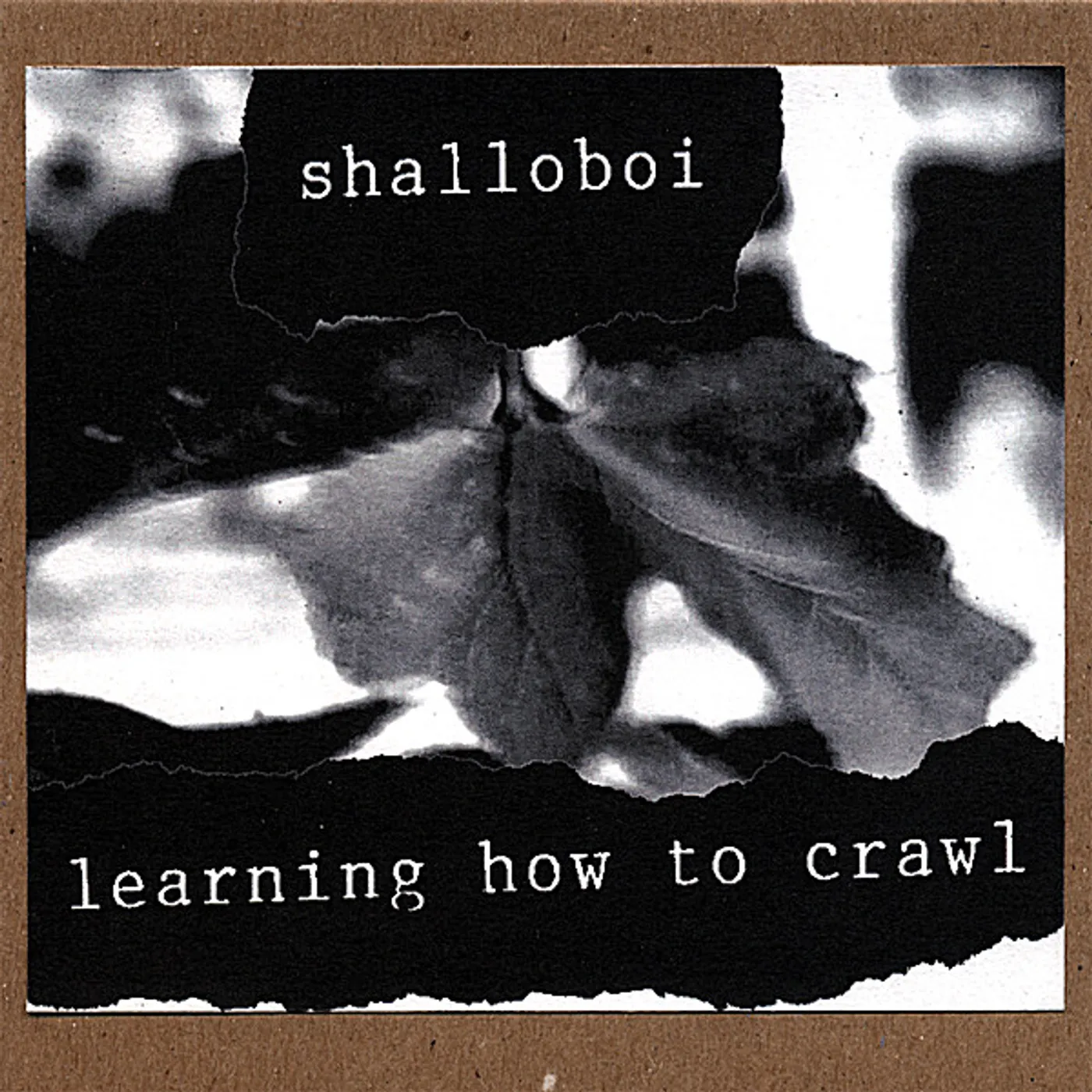 Shalloboi LEARNING HOW TO CRAWL CD