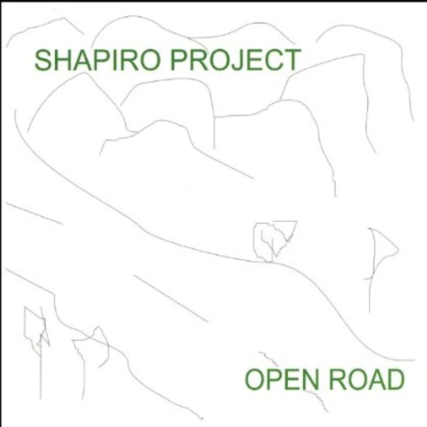 Shapiro Project OPEN ROAD CD