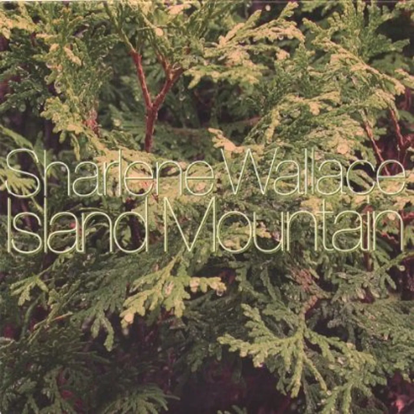 Sharlene Wallace ISLAND MOUNTAIN CD
