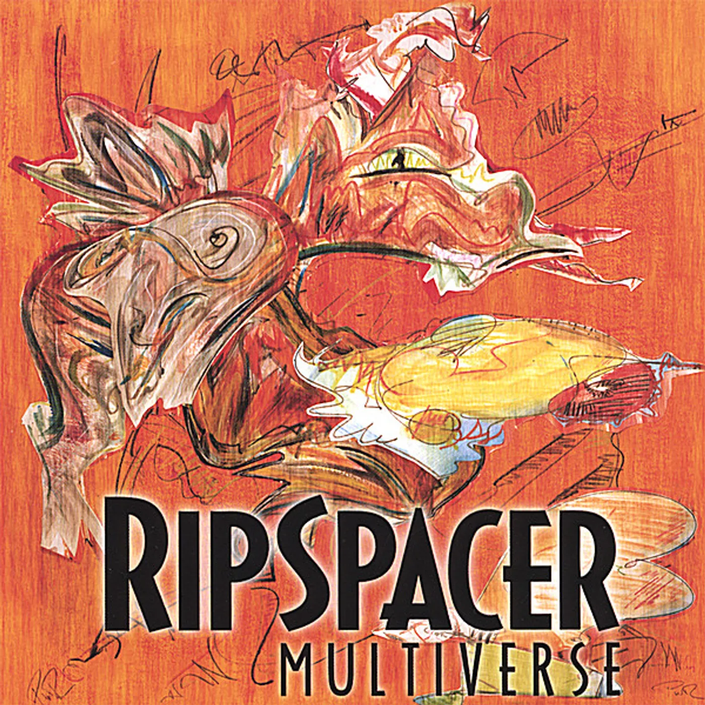 RipSpacer MULTIVERSE CD