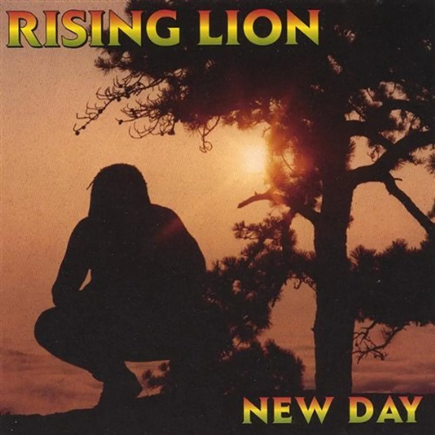 Rising Lion NEW DAY CD