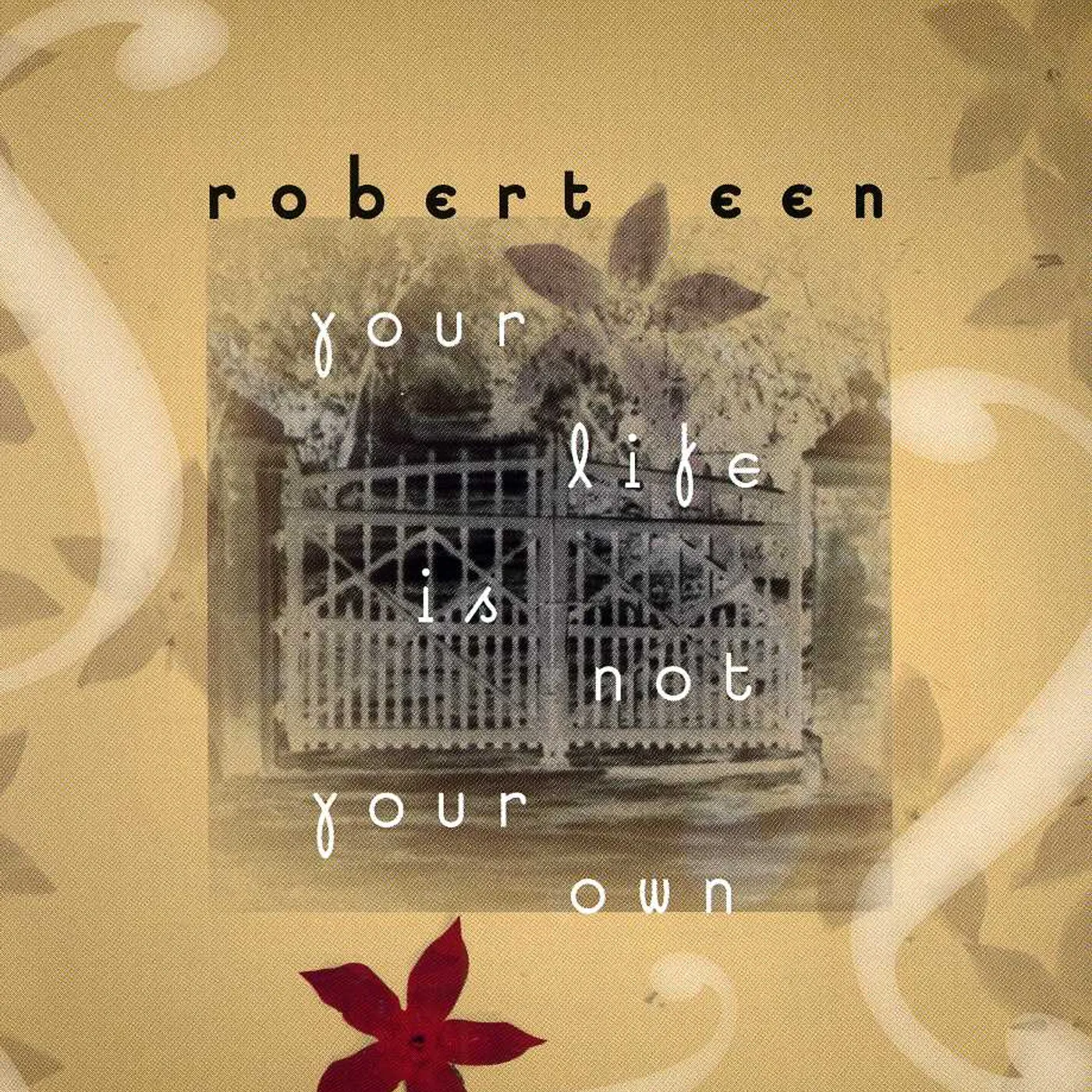 Robert Een YOUR LIFE IS NOT YOUR OWN CD