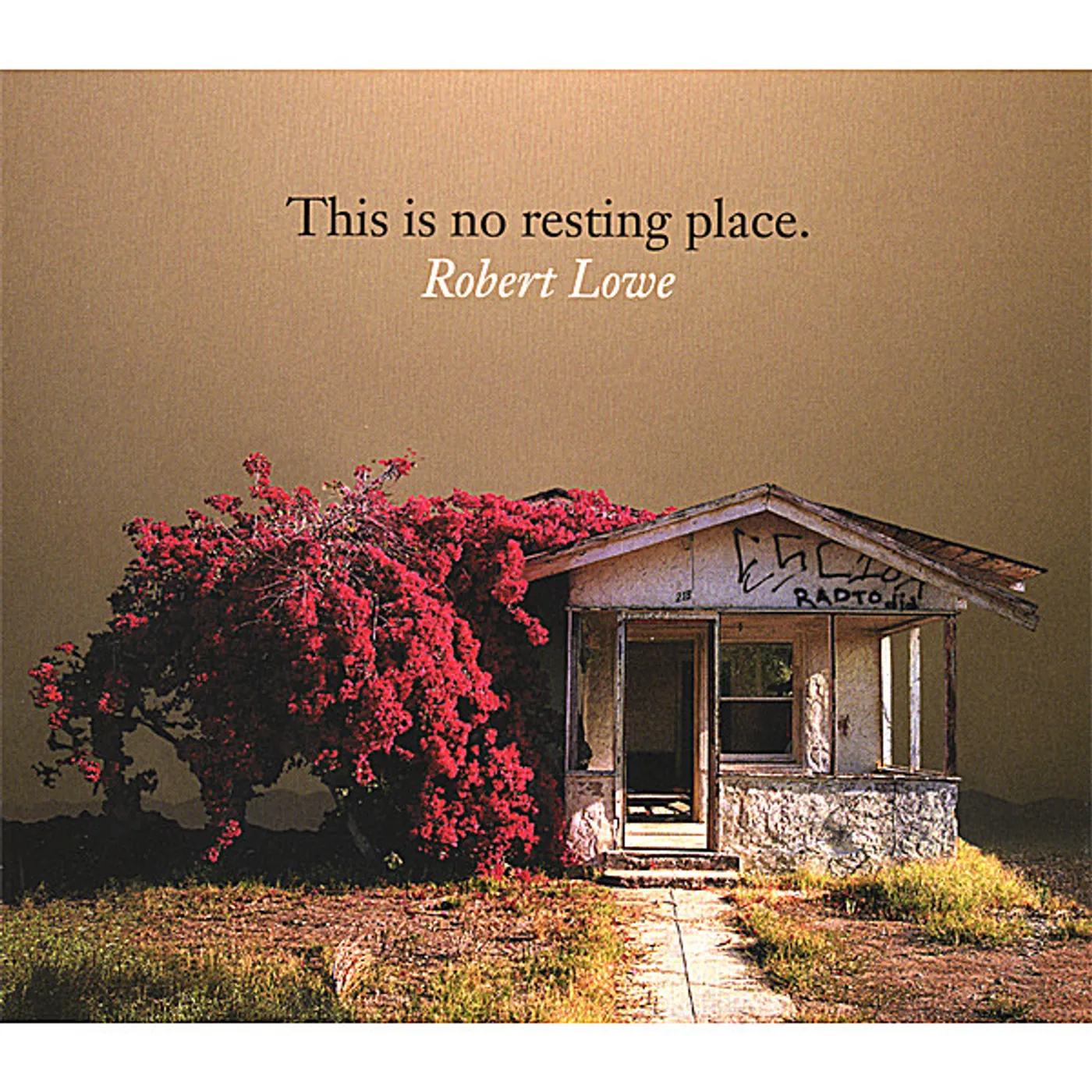Robert Lowe THIS IS NO RESTING PLACE CD