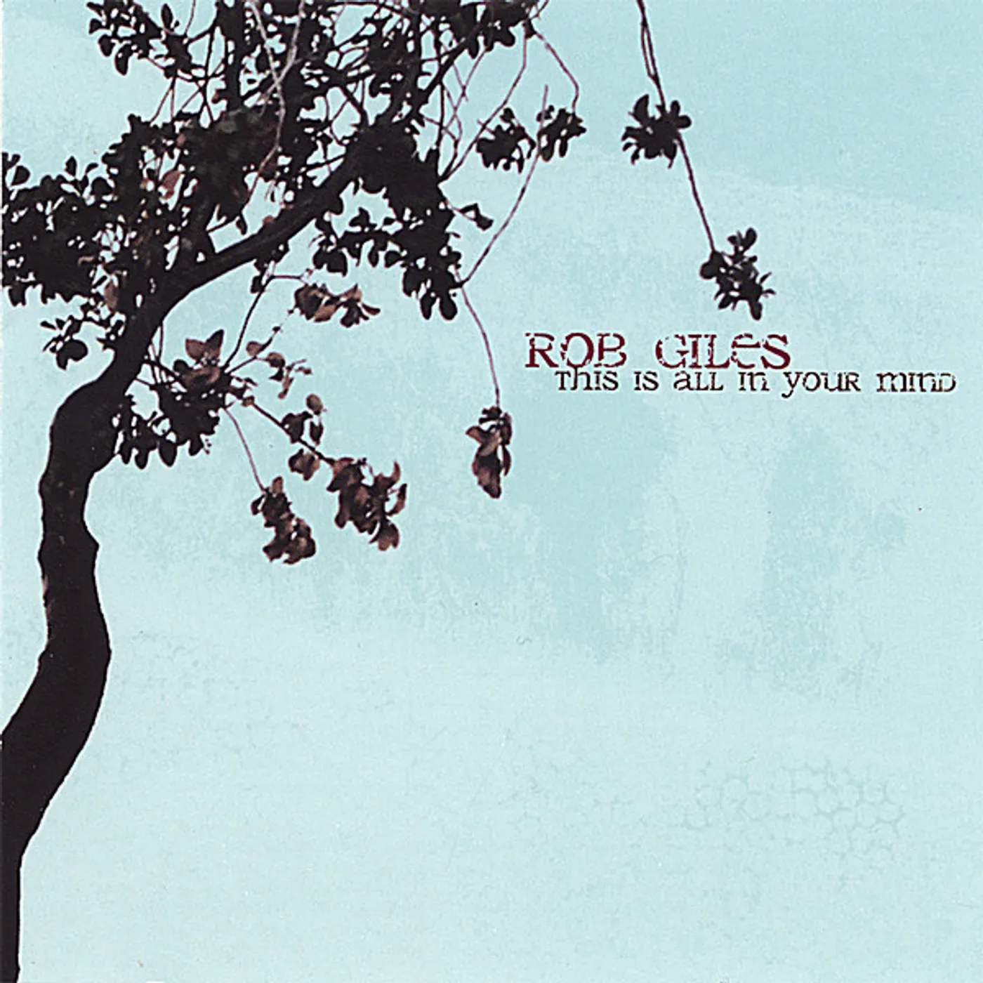 Rob Giles THIS IS ALL IN YOUR MIND CD