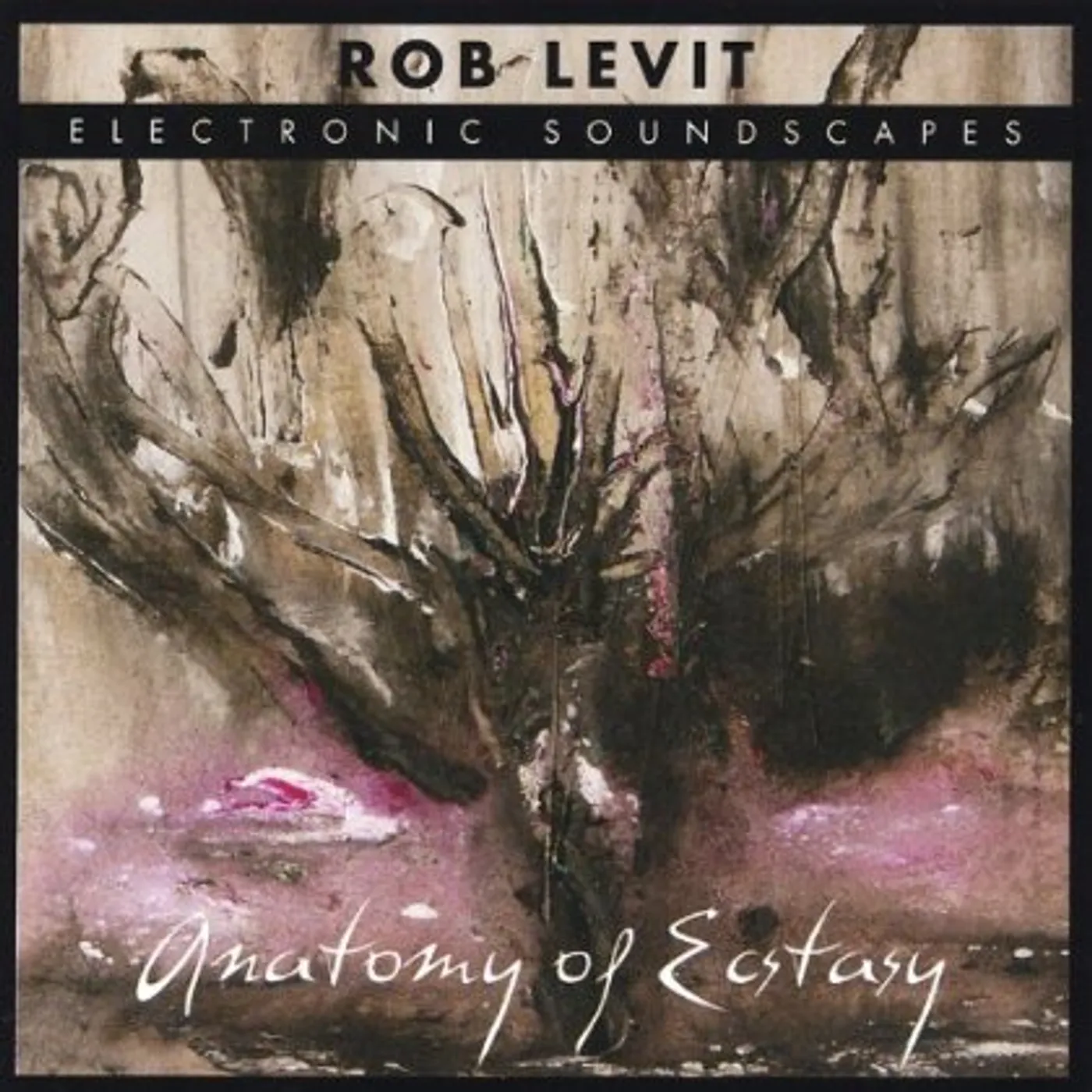 Rob Levit ANATOMY OF ECSTASY CD
