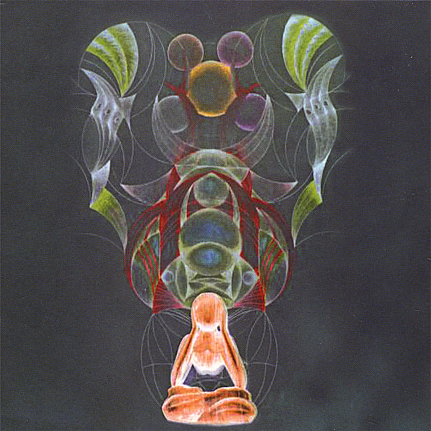 Root of the Sick UNDULATION CD