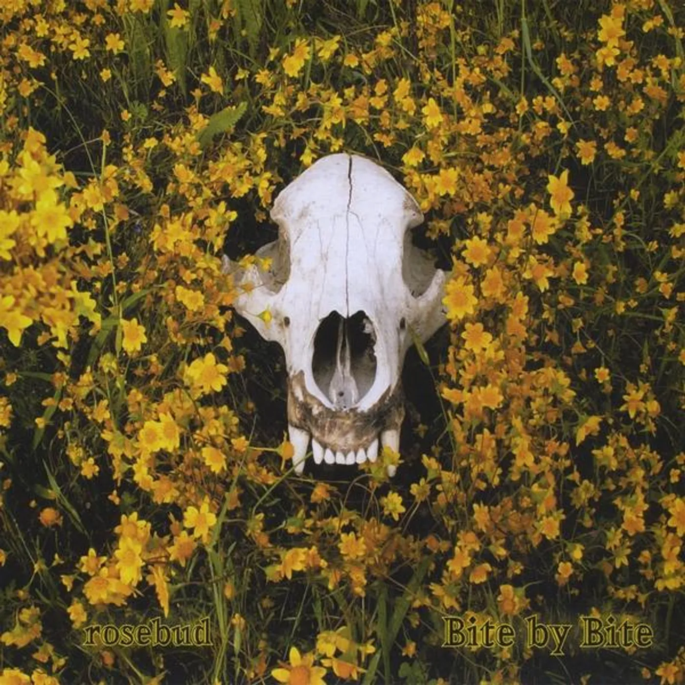 Rosebud BITE BY BITE CD