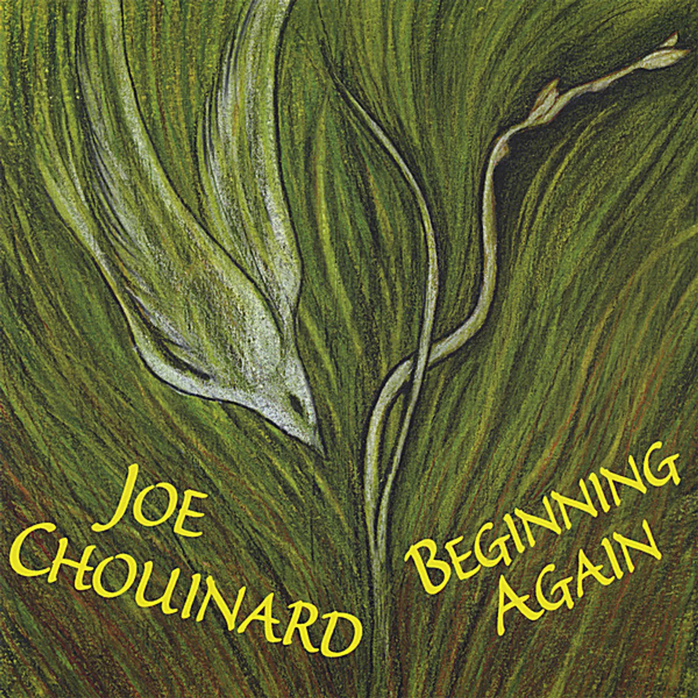 Joe Chouinard BEGINNING AGAIN CD