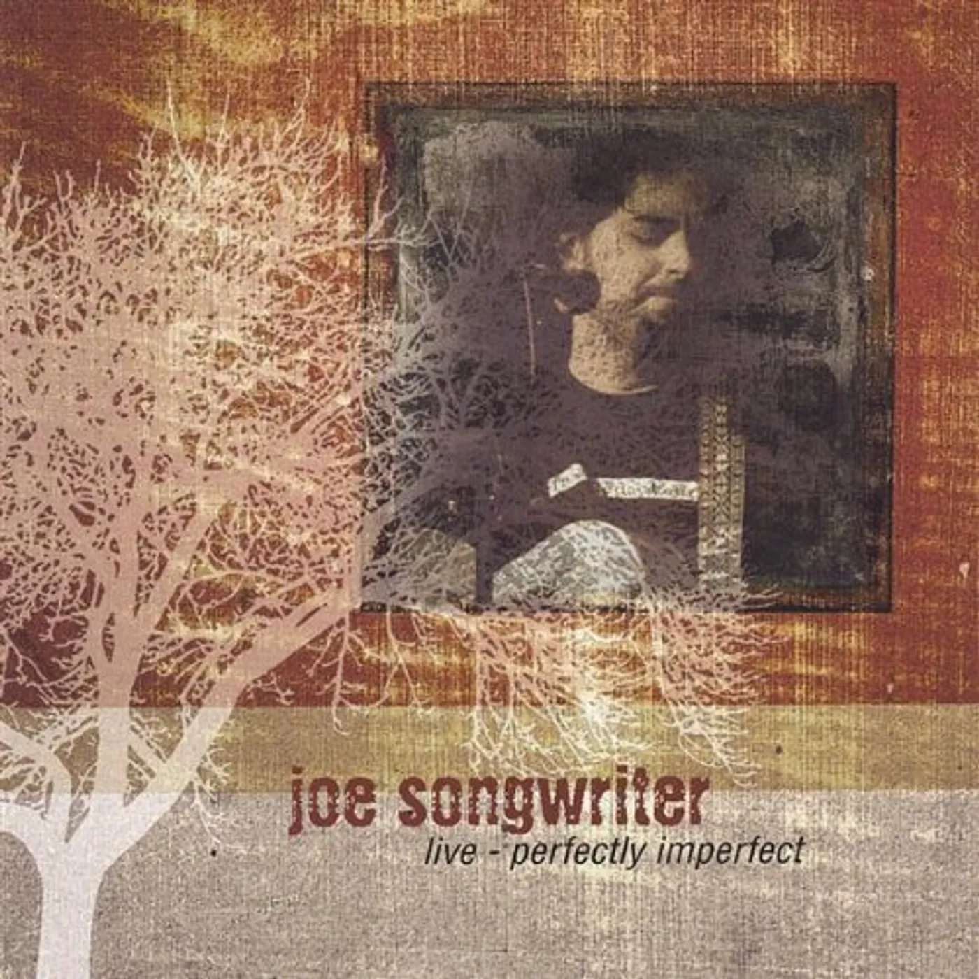 JOE SONGWRITER LIVE-PERFECTLY IMPERFECT CD