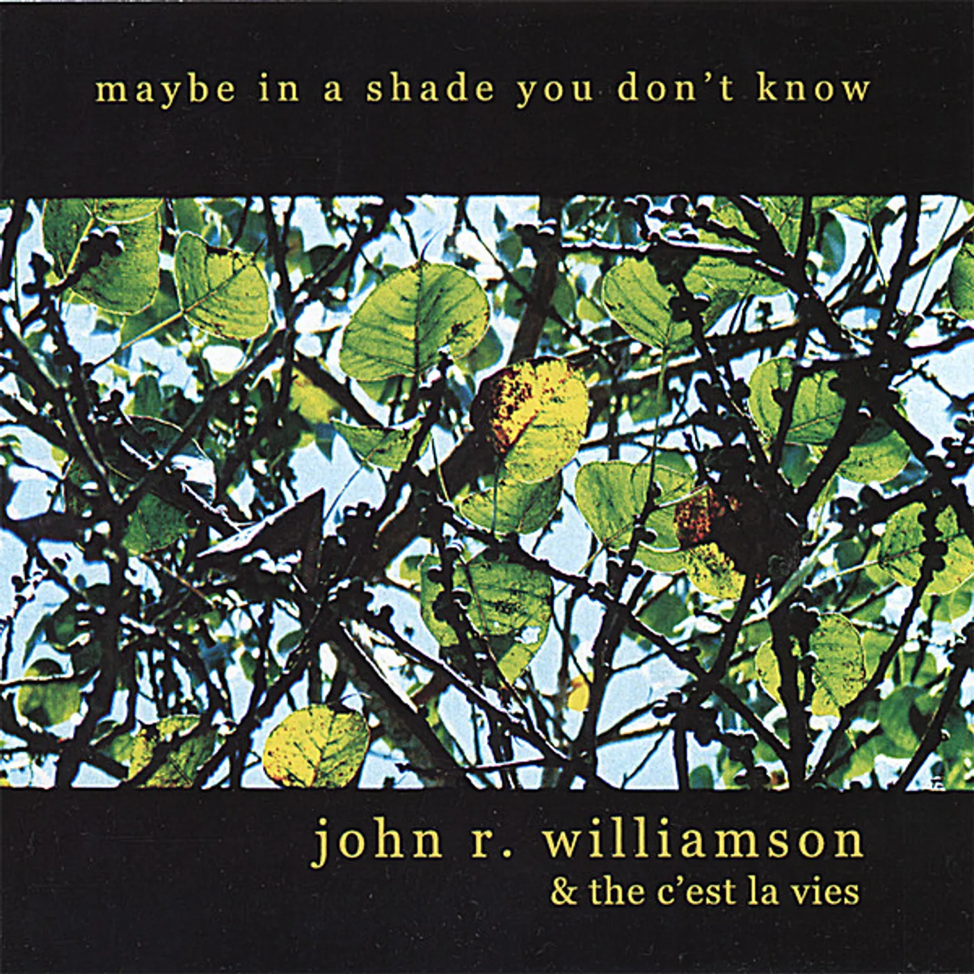 John R. Williamson & The C'est La Vies MAYBE IN A SHADE YOU DON'T KNOW CD