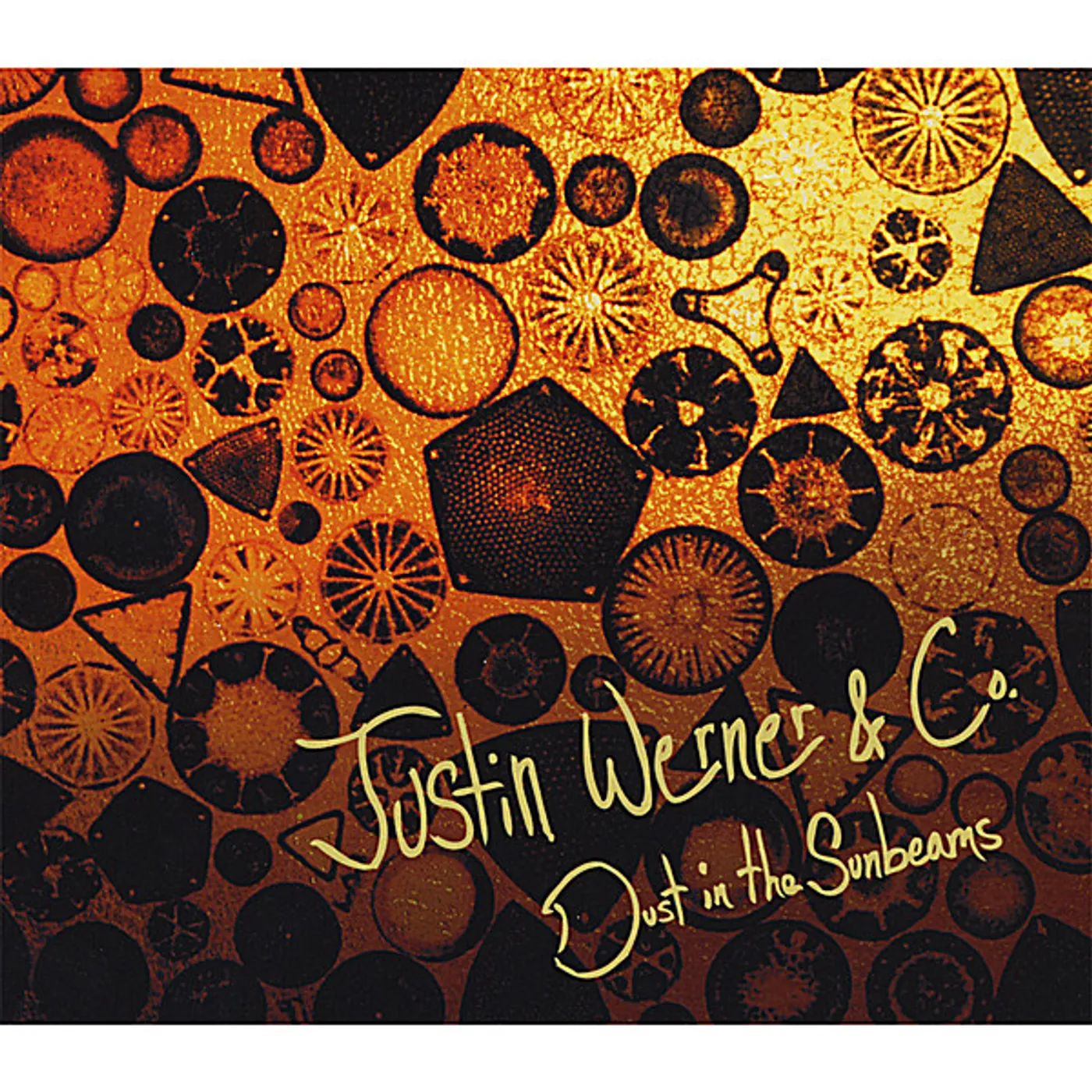 Justin Werner & Co DUST IN THE SUNBEAMS CD
