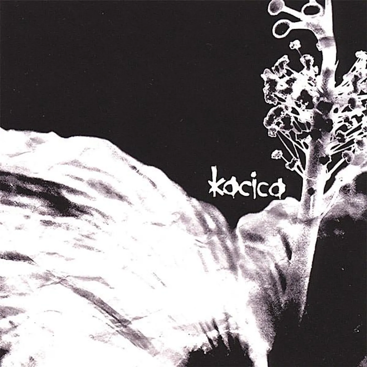 Kacica MY EYES THEY'RE CALLED THE EARTH CD