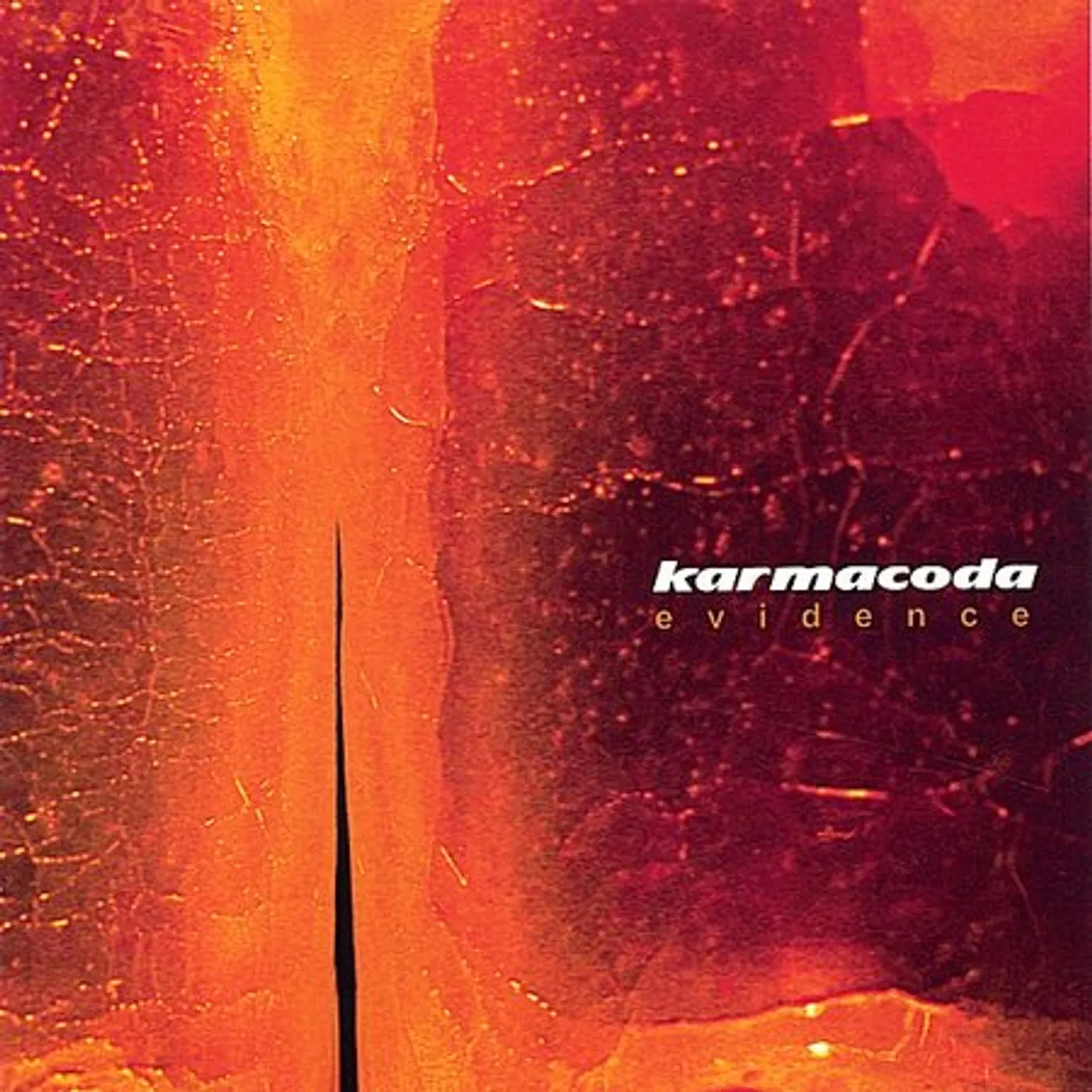 Karmacoda EVIDENCE CD