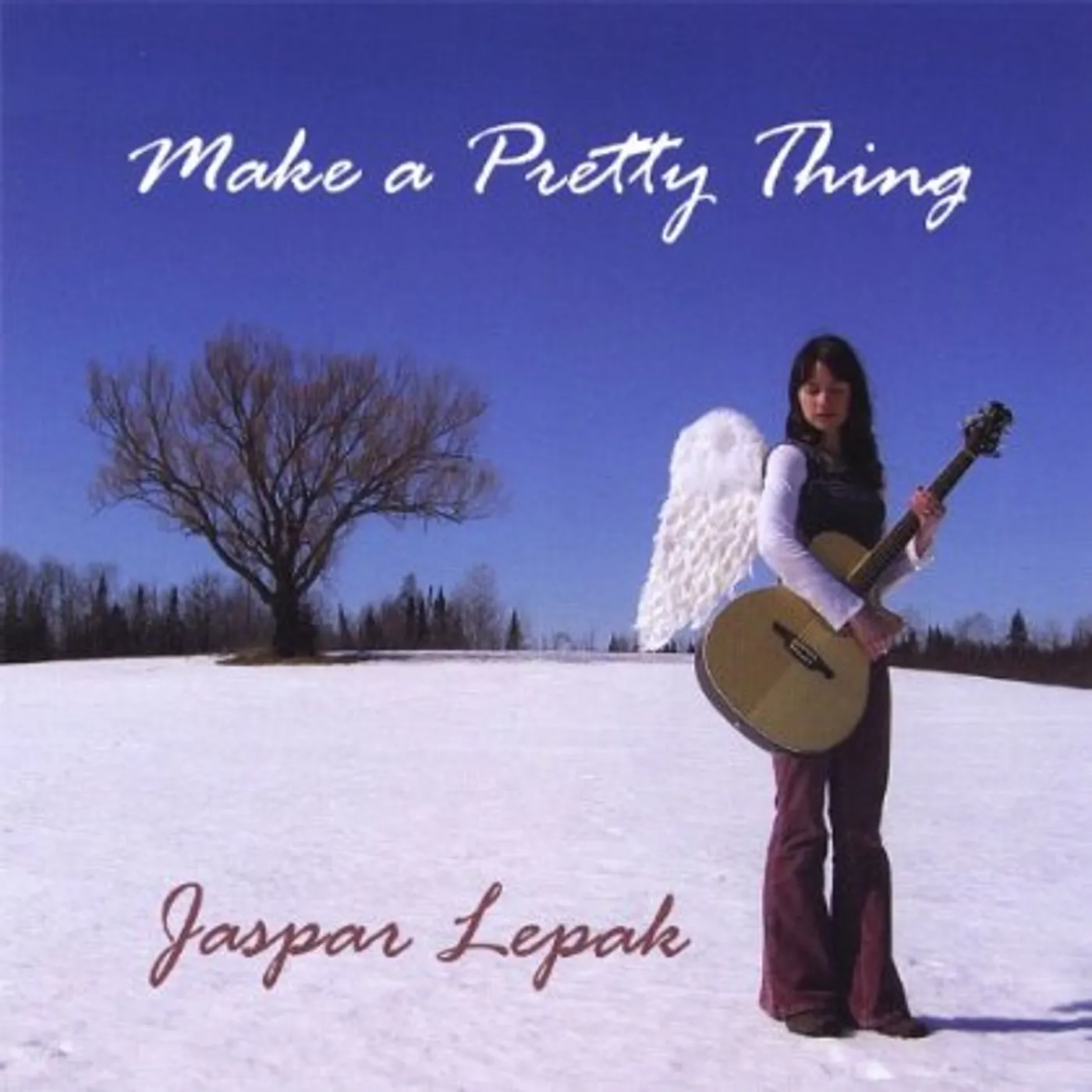 Jaspar Lepak MAKE A PRETTY THING CD