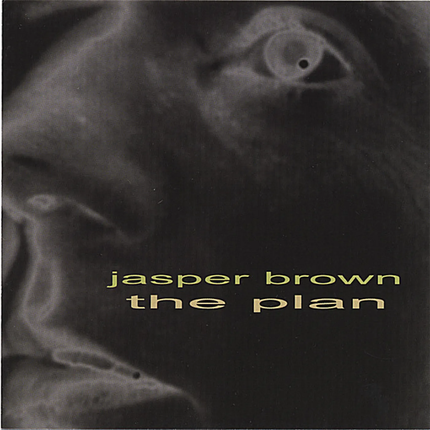 Jasper Brown PLAN CD
