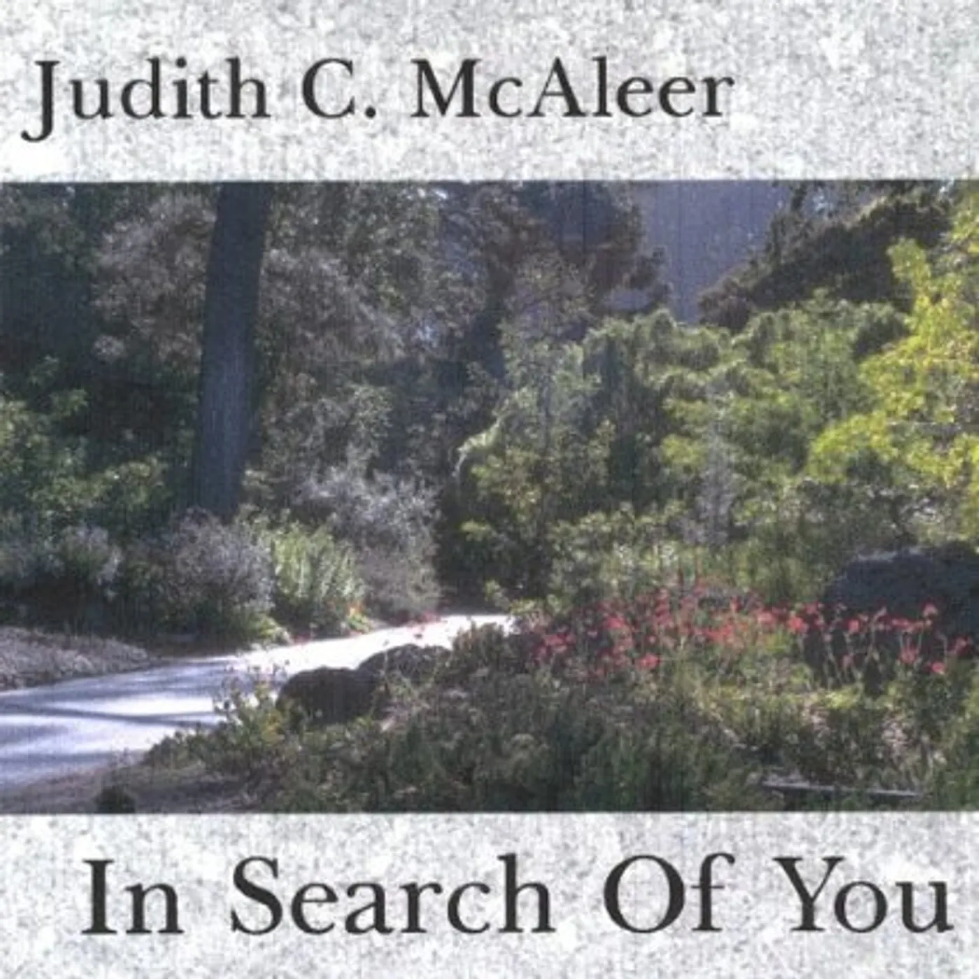 Judith C. McAleer IN SEARCH OF YOU CD
