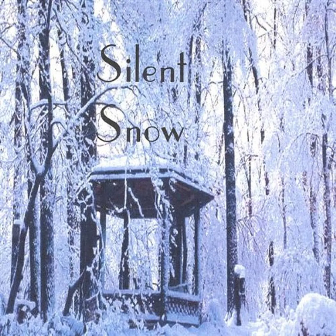 Judith C. McAleer SILENT SNOW CD