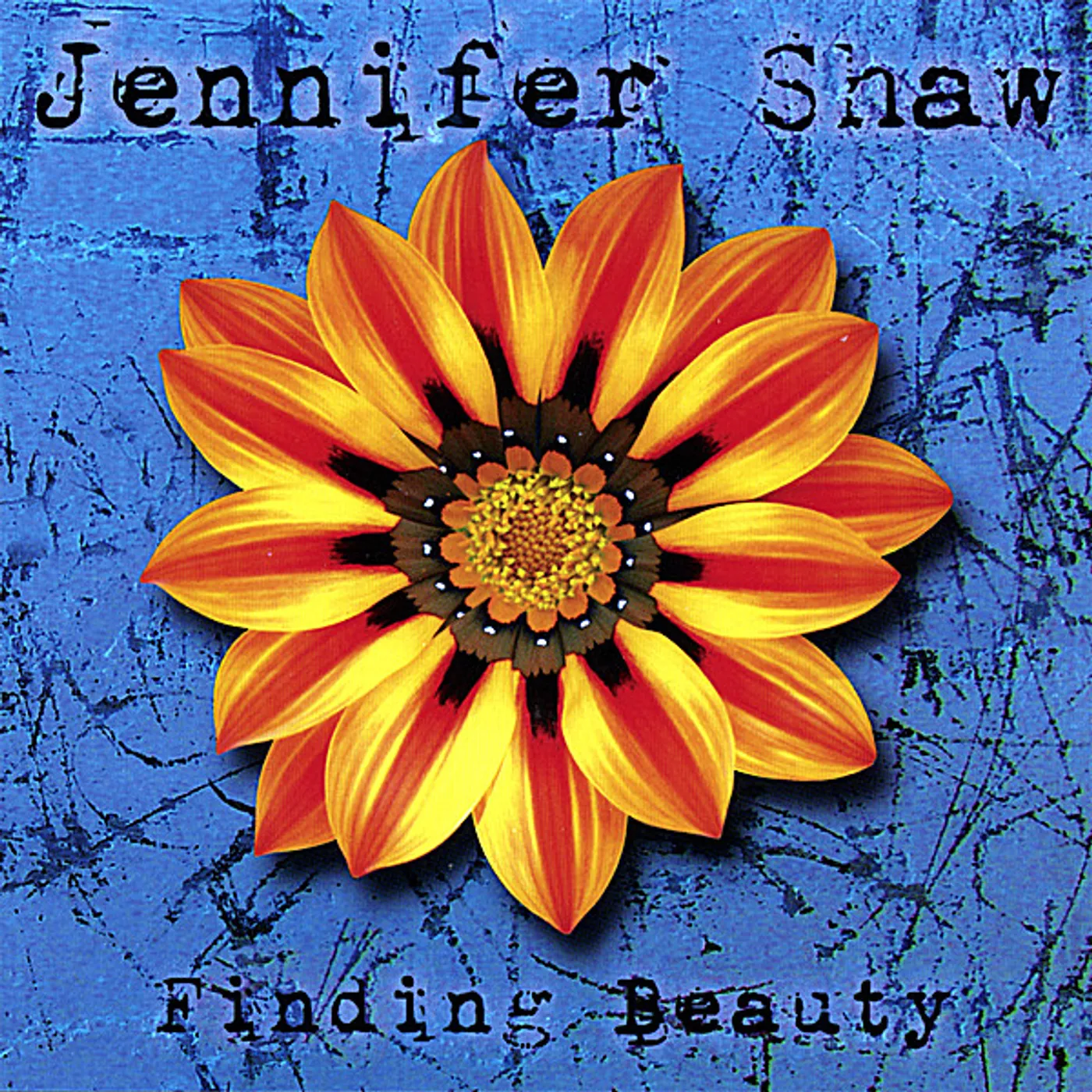 Jennifer Shaw FINDING BEAUTY CD