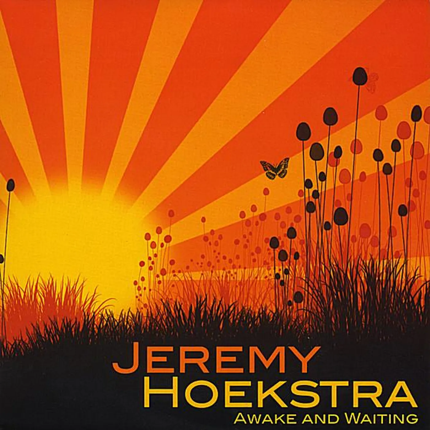 Jeremy Hoekstra AWAKE & WAITING CD