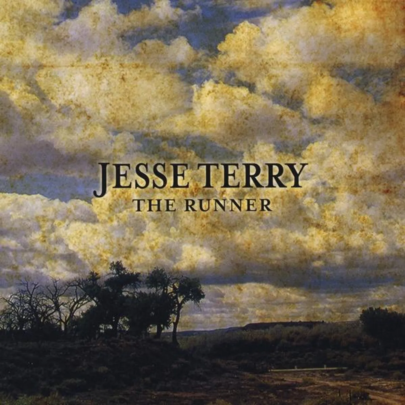 Jesse Terry RUNNER CD