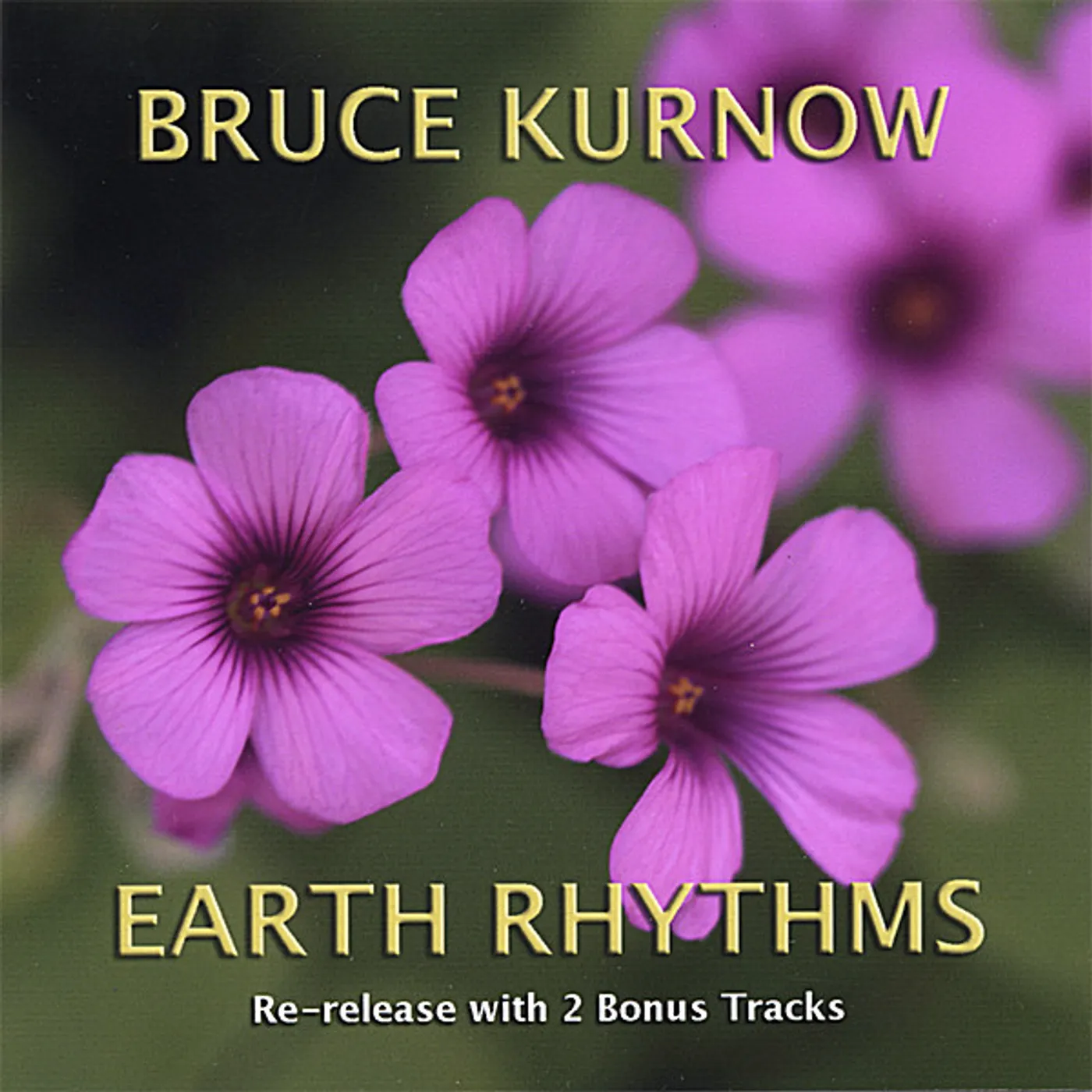 Bruce Kurnow EARTH RHYTHMS CD