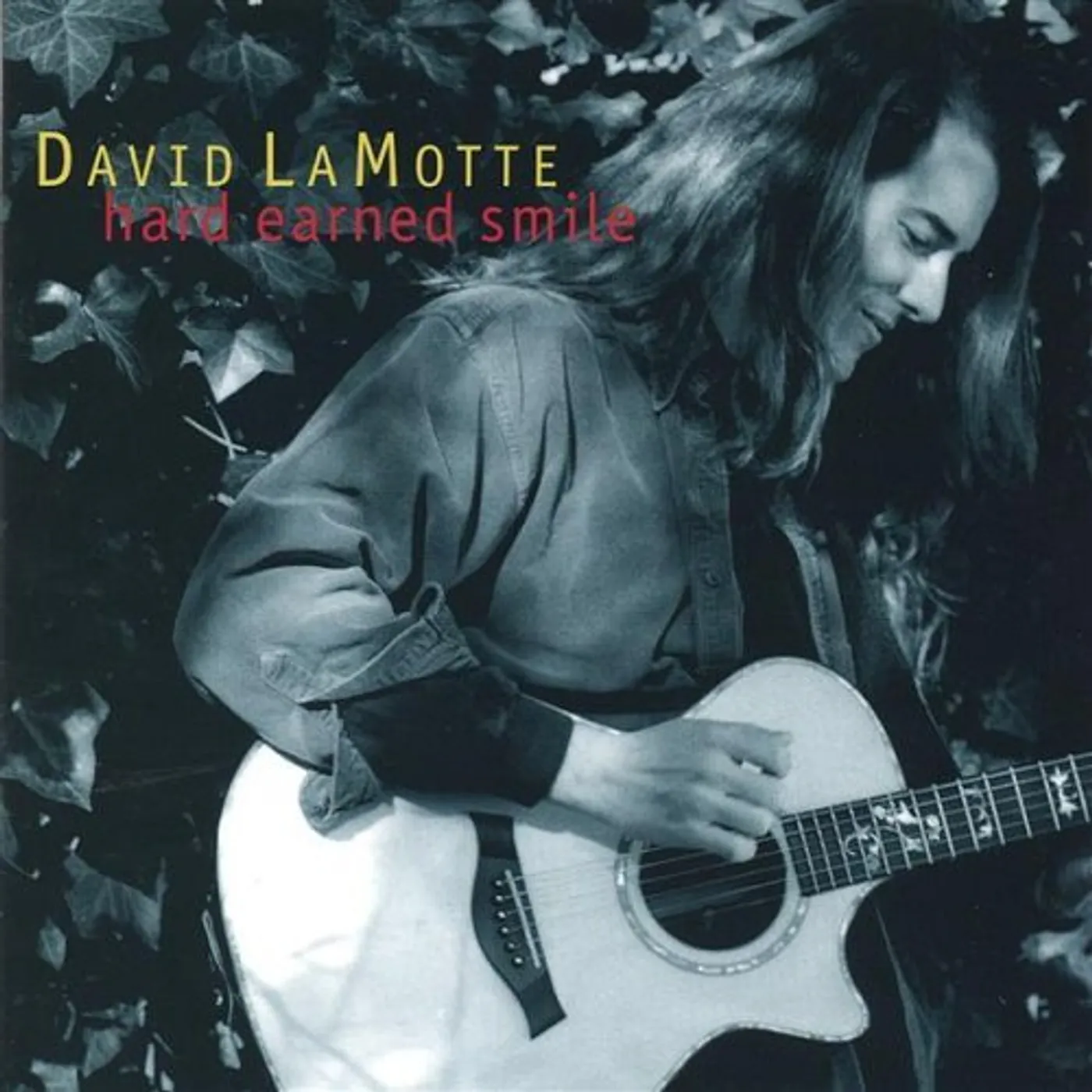 David LaMotte HARD EARNED SMILE CD