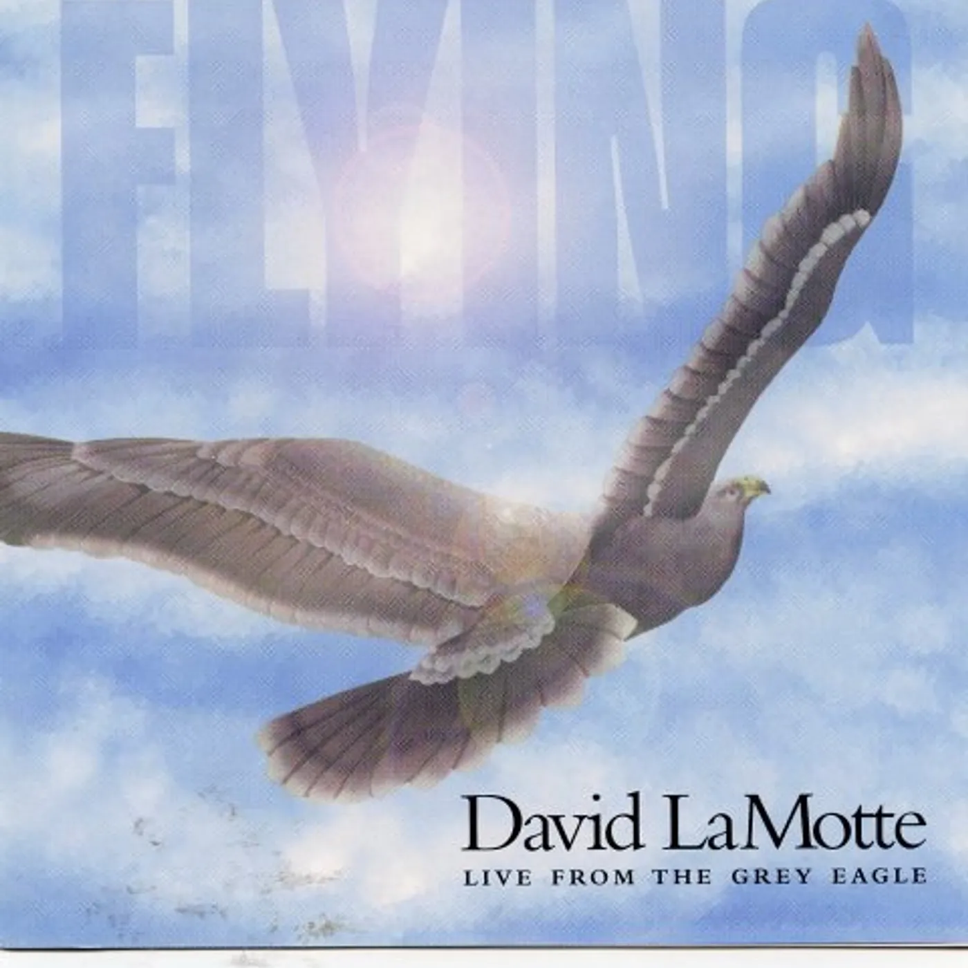 David LaMotte FLYING-LIVE FROM THE GREY EAGLE CD