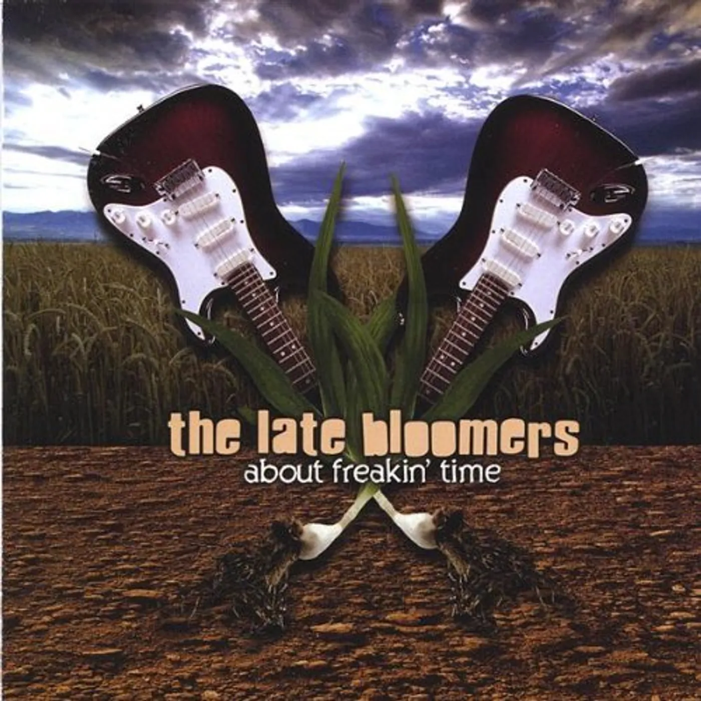 Late Bloomers ABOUT FREAKIN TIME CD