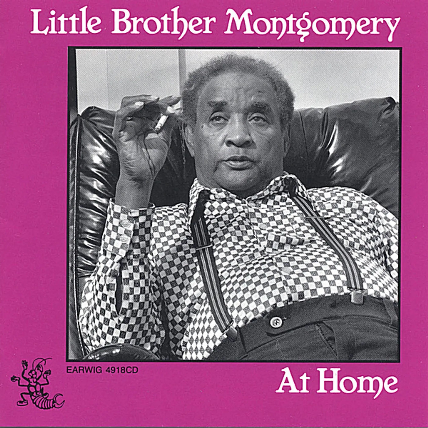 Little Brother Montgomery AT HOME CD