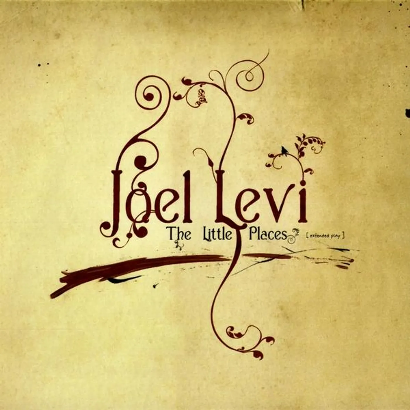 Joel Levi LITTLE PLACES CD