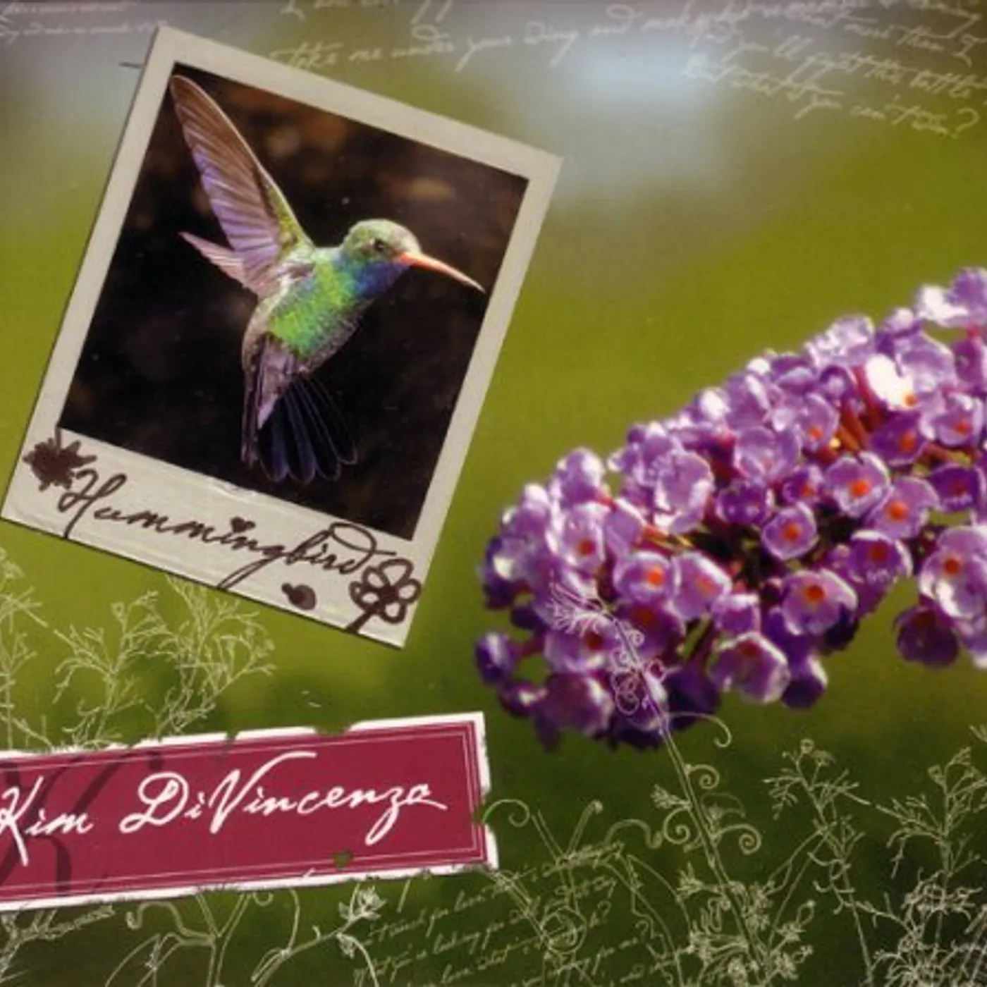 Kim DiVine HUMMINGBIRD CD