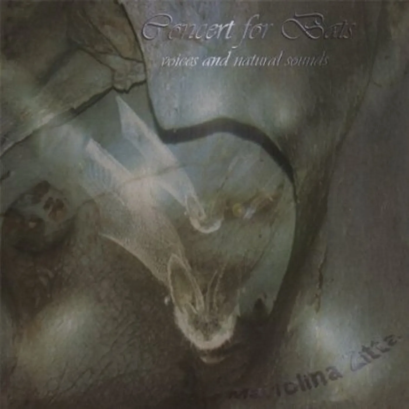 Mariolina Zitta CONCERT FOR BATS VOICES & NATURAL SOUNDS CD