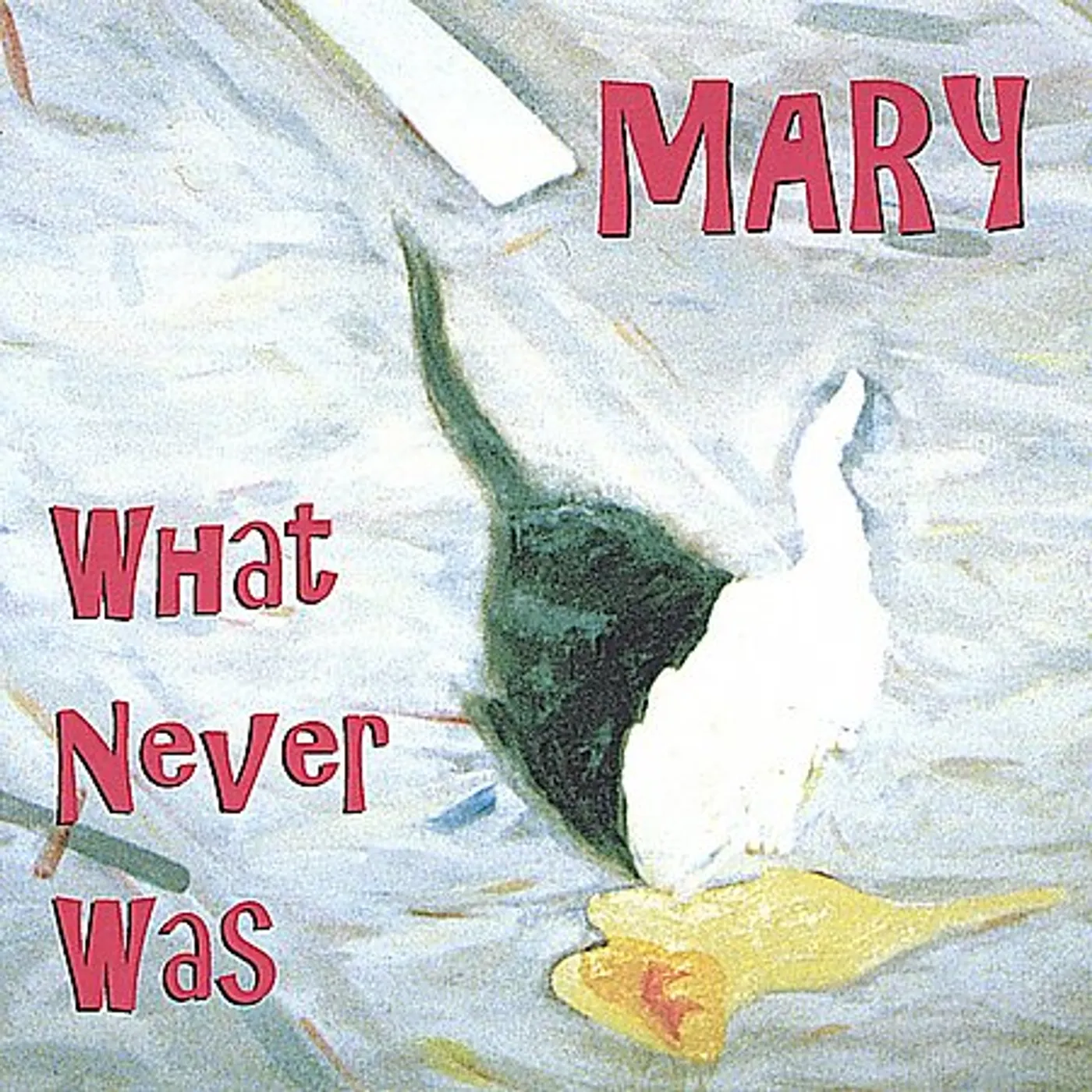 Mary WHAT NEVER WAS CD