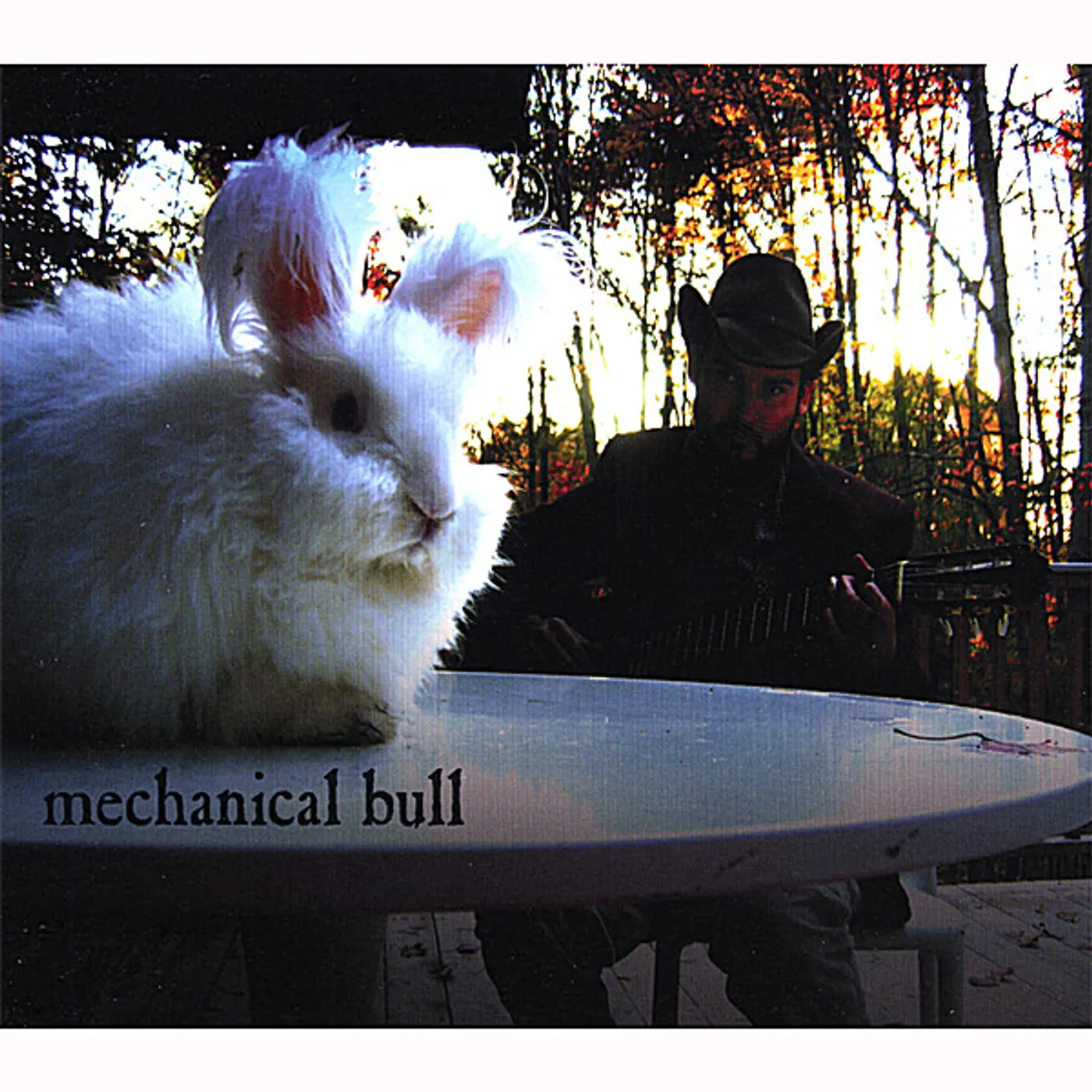 Mechanical Bull ALL HAT NO CATTLE CD