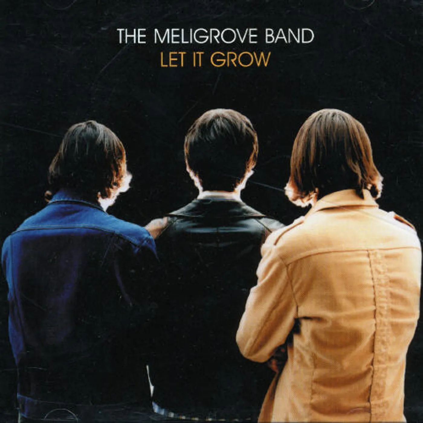 The Meligrove Band LET IT GROW CD