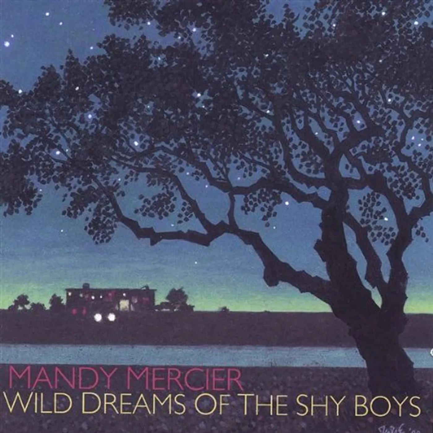 Mandy Mercier WILD DREAMS OF THE SHY BOYS CD