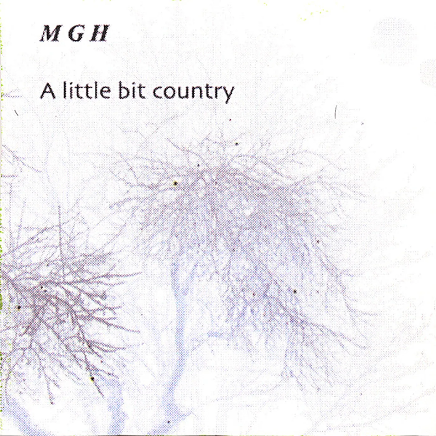 Mgh LITTLE BIT COUNTRY CD