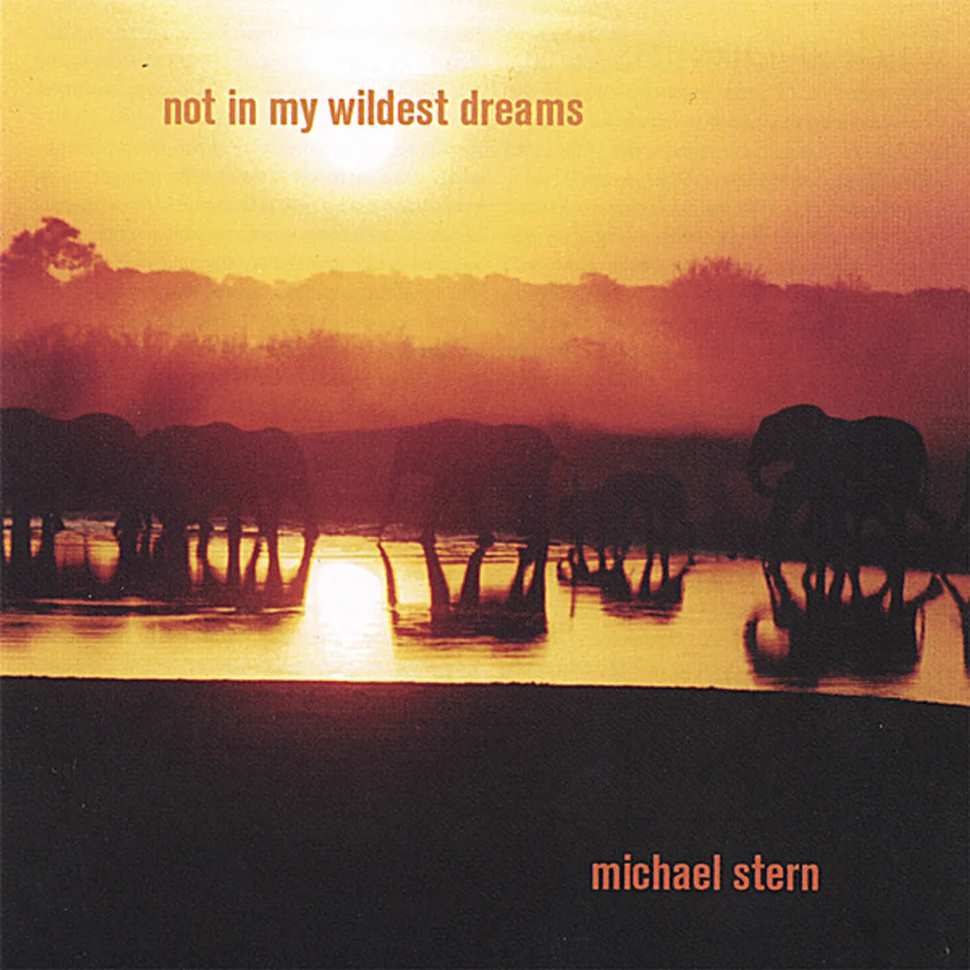 Michael Stern NOT IN MY WILDEST DREAMS CD
