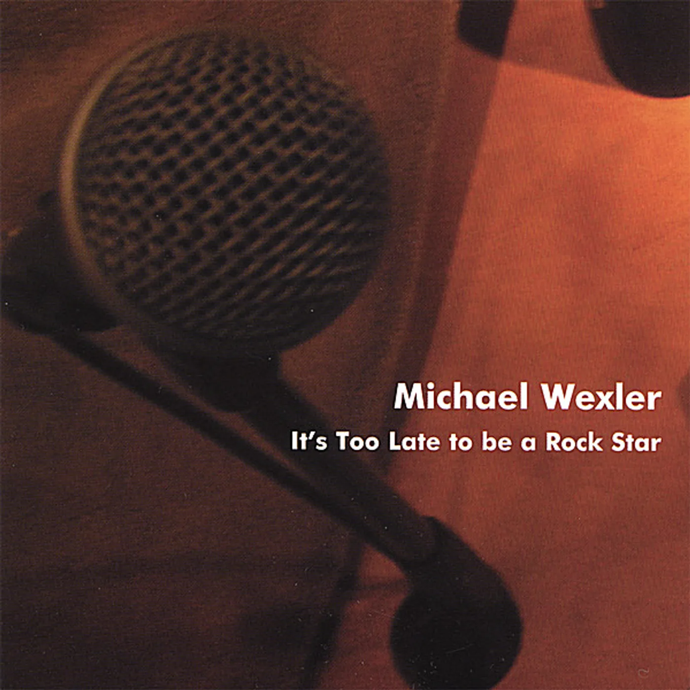 Michael Wexler IT'S TOO LATE TO BE A ROCK STAR EP CD