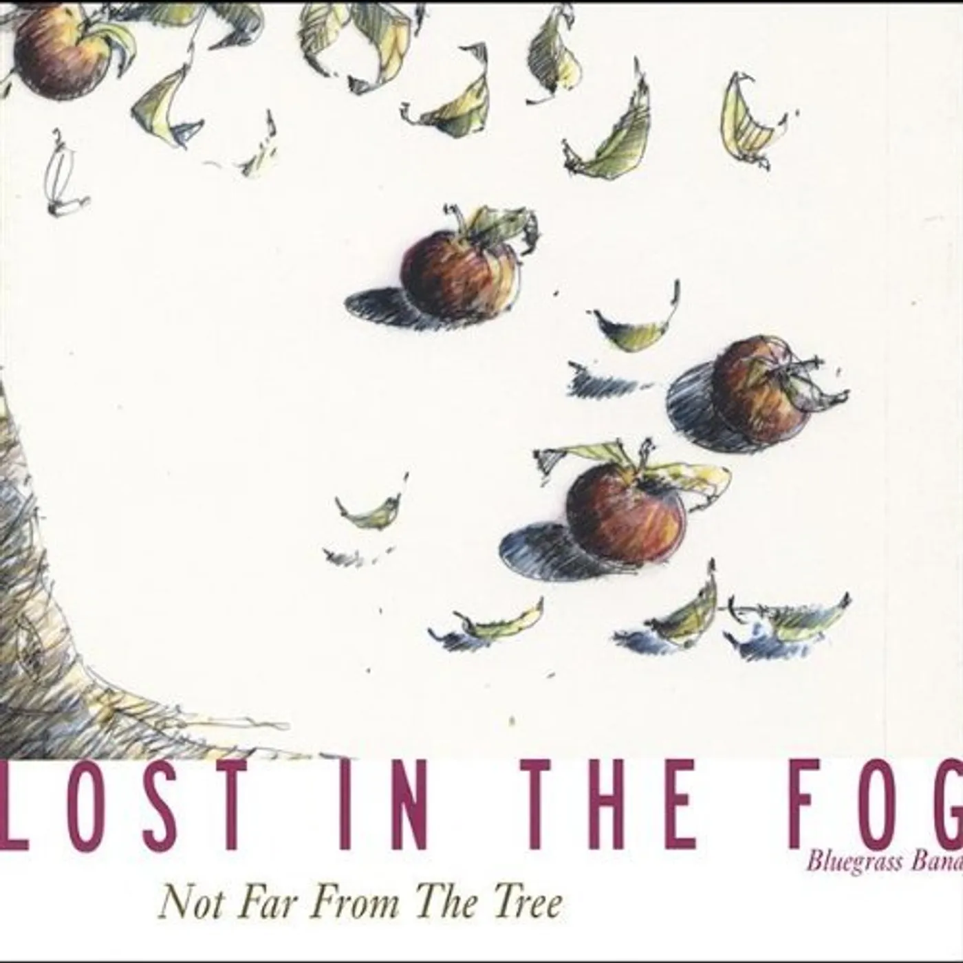 Lost in the Fog NOT FAR FROM THE TREE CD