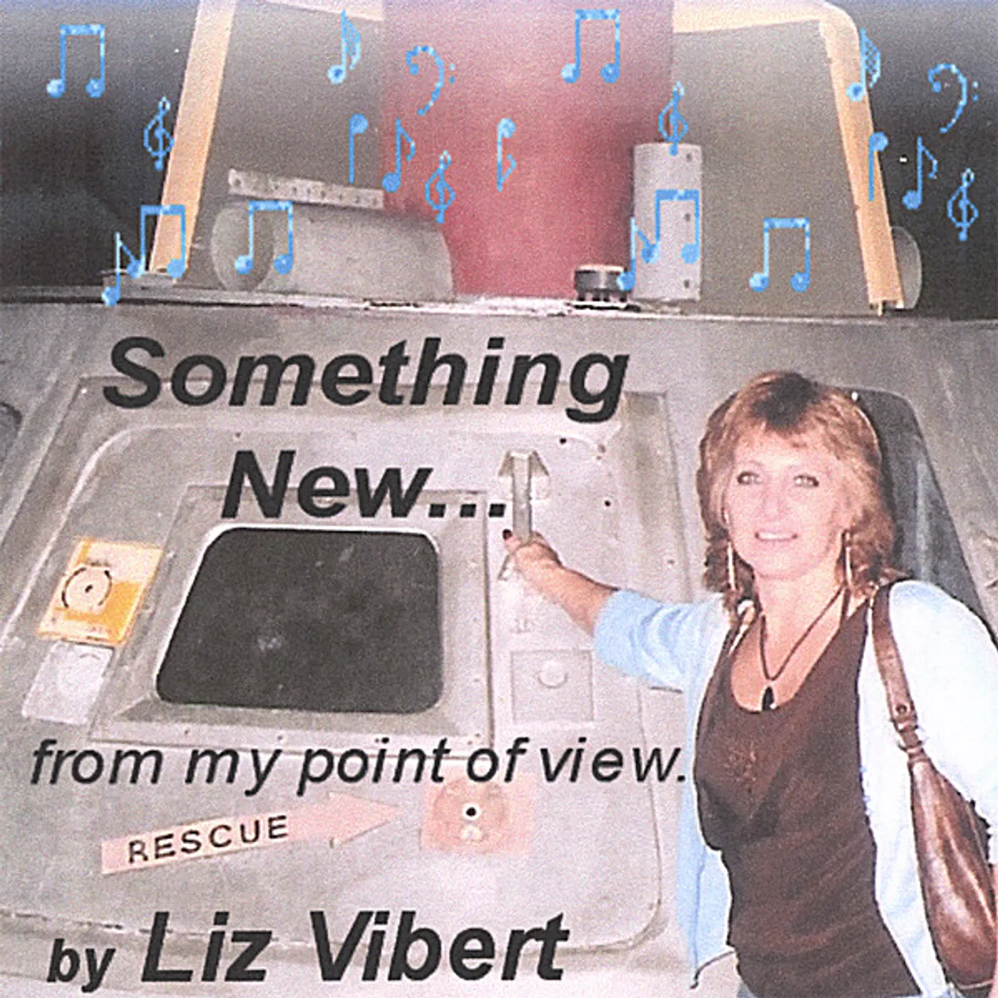 Liz Vibert SOMETHING NEW FROM MY POINT OF VIEW CD