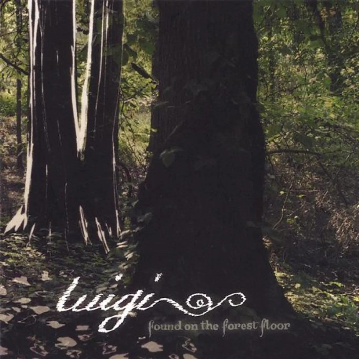 Luigi FOUND ON THE FOREST FLOOR CD