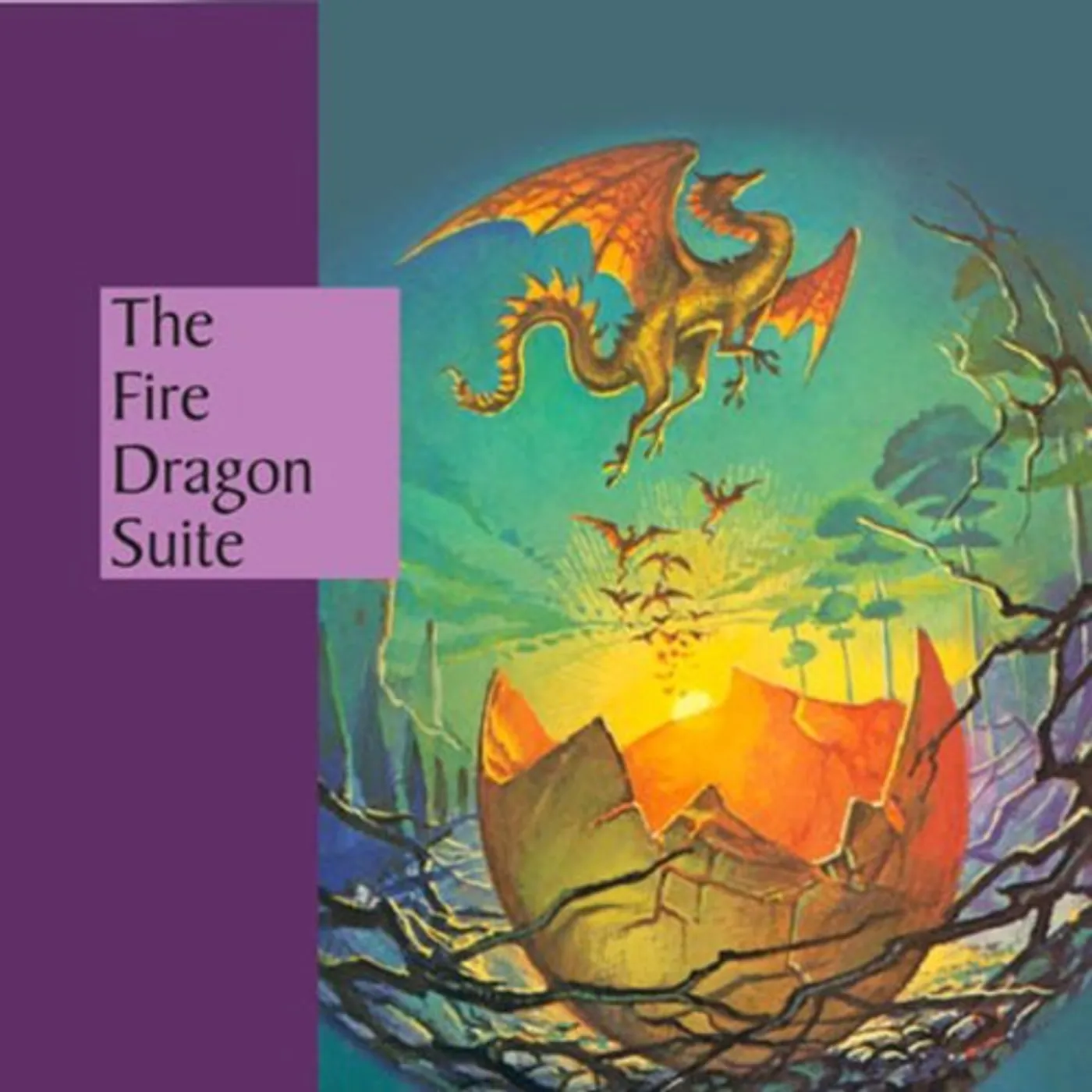 Dada Nabhaniilananda FIRE DRAGON SUITE CD