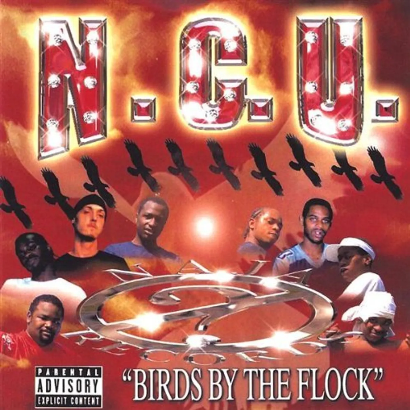 NCU BIRDS BY THE FLOCK CD