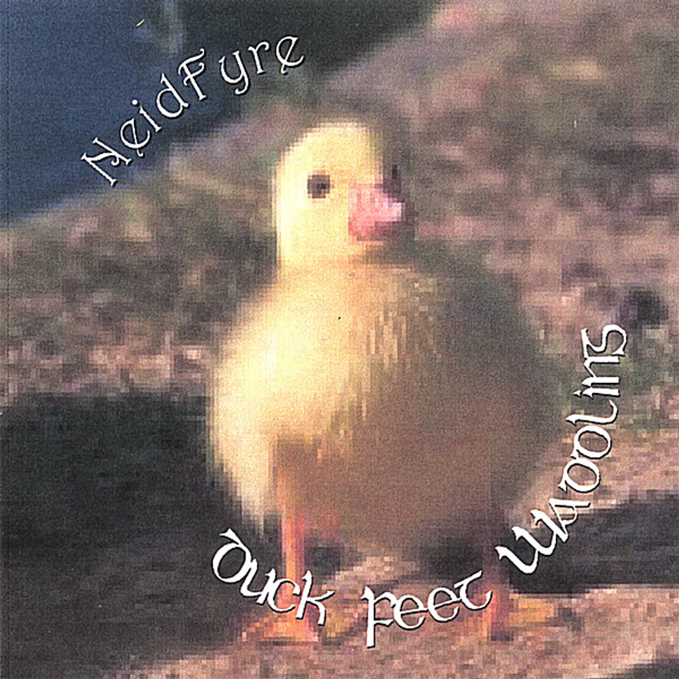 Neidfyre DUCK FEET WADDLING CD
