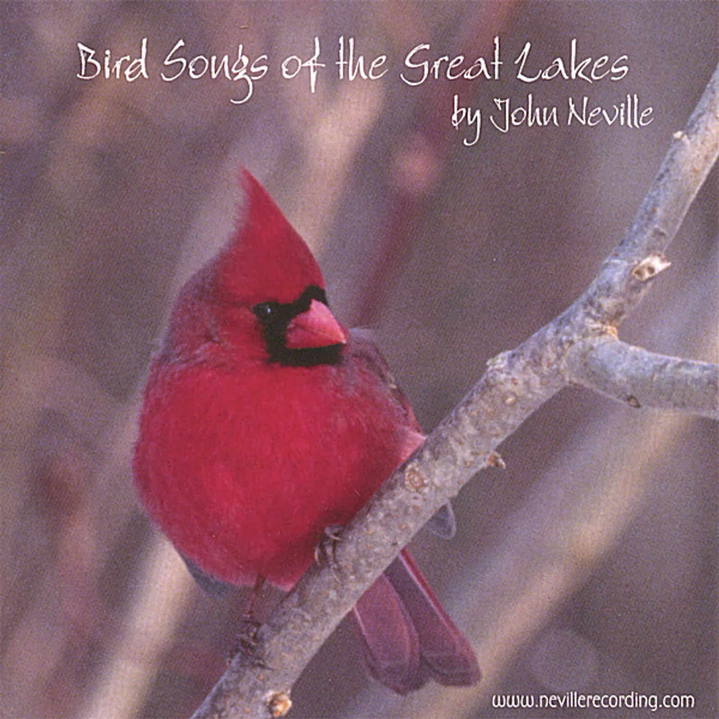 John Neville BIRD SONGS OF THE GREAT LAKES CD