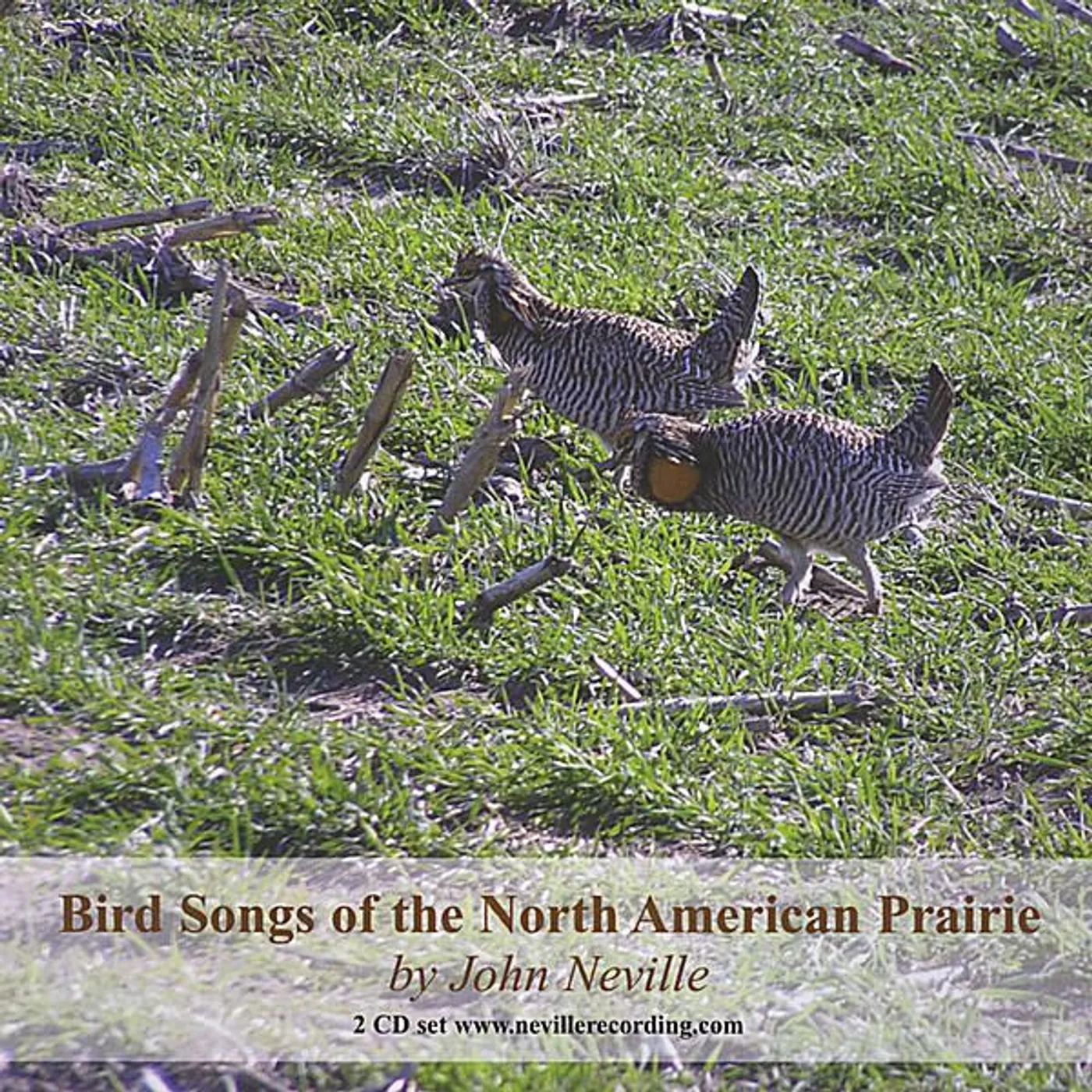 John Neville BIRD SONGS OF THE NORTH AMERICAN PRAIRIE CD